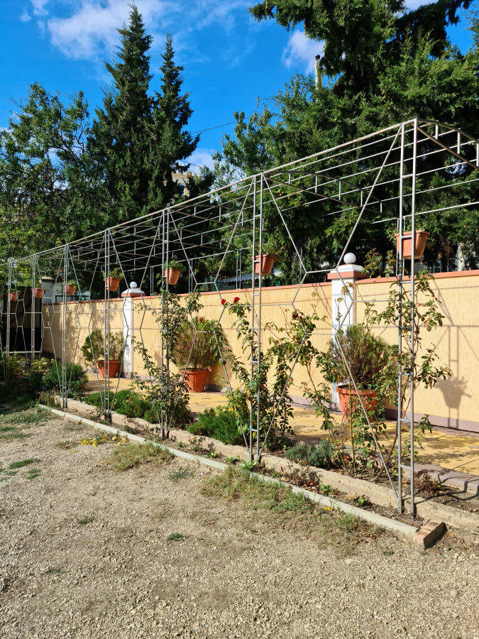 Фото Валента