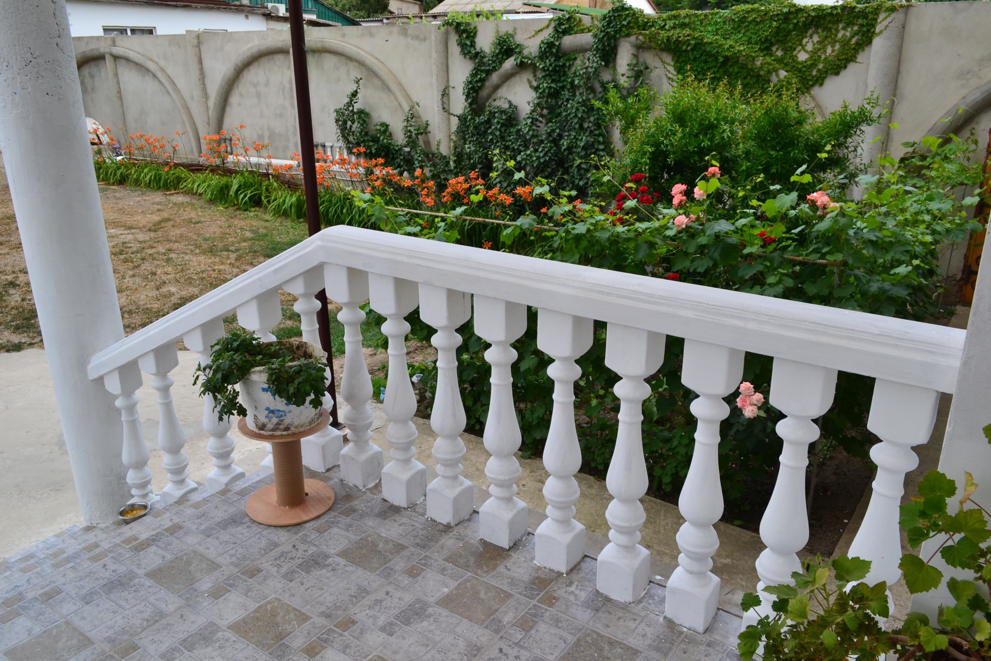 Фото Лонгвина