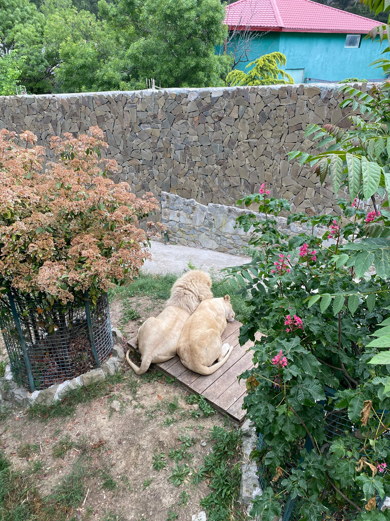 Zoo Skazka, Republic of Crimea, photo