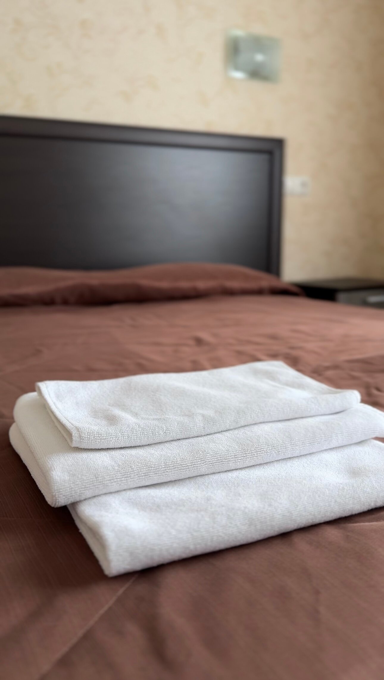 Фото Монарх