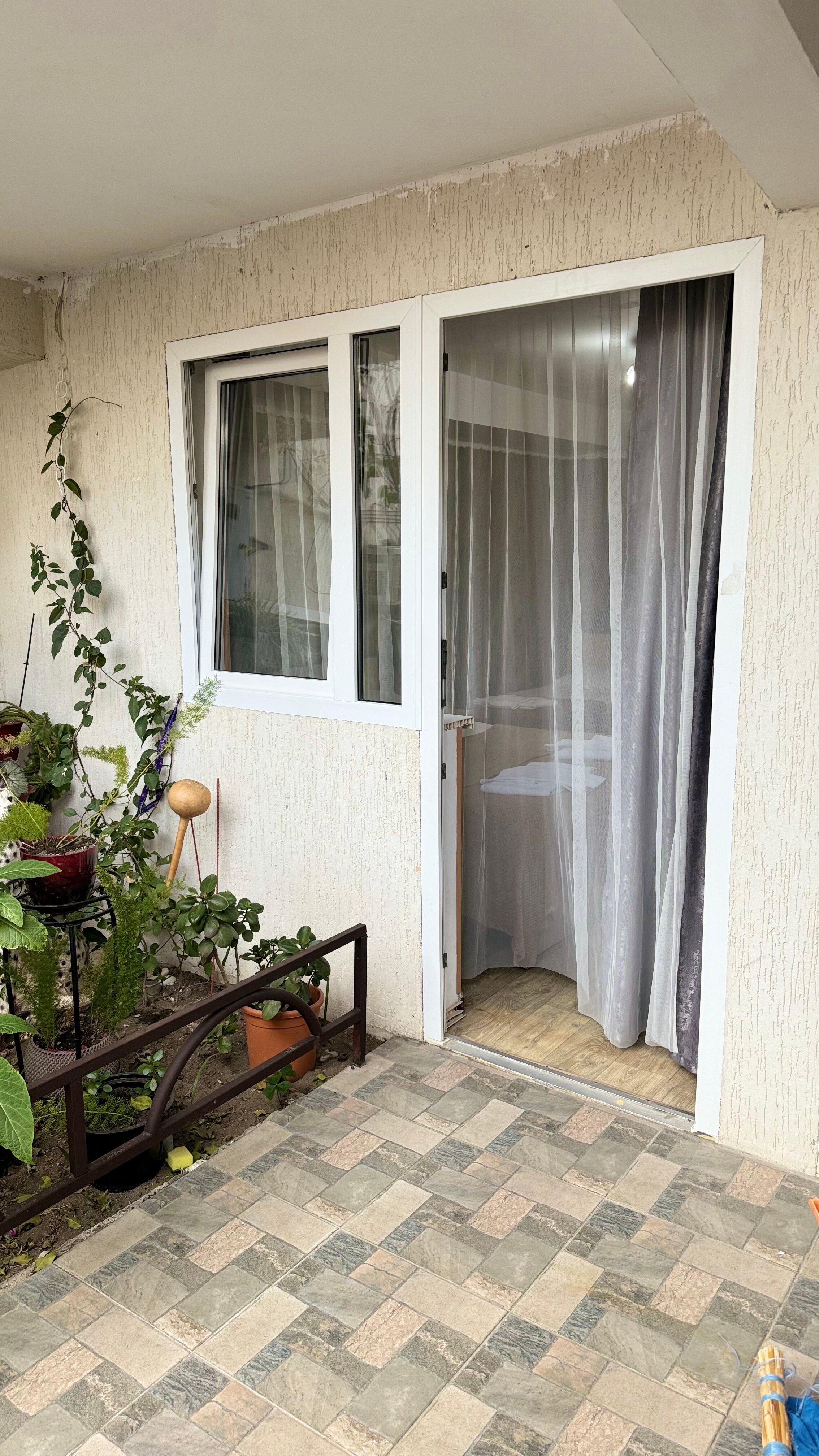 Фото Кипарис