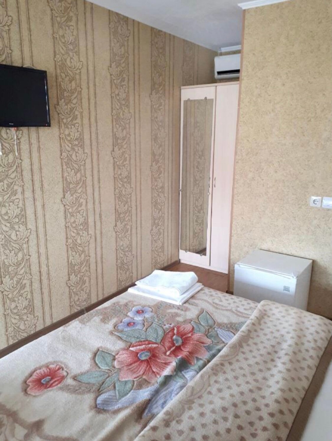 Фото Кипарис