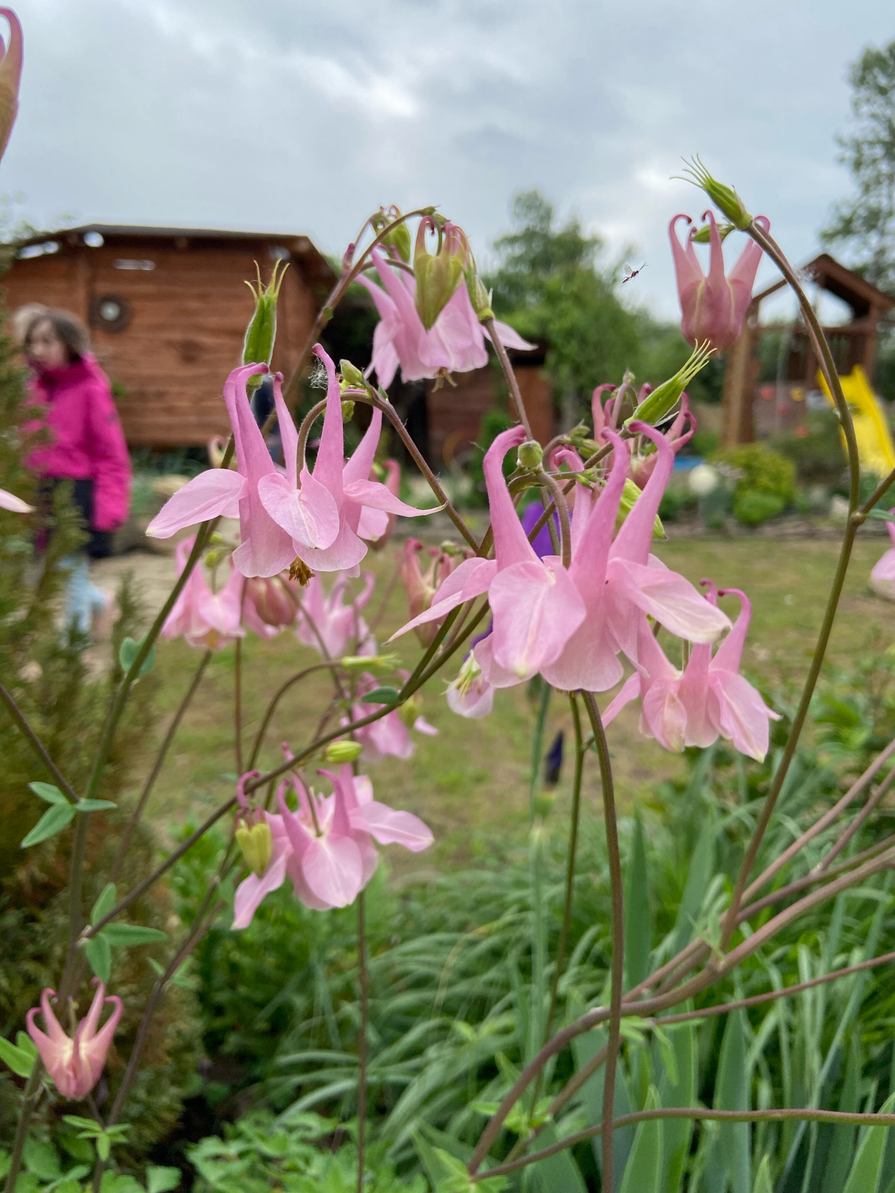 Фото Горный родник