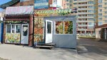 Фрукты овощи (2-ya Dachnaya ulitsa, 4) ، متجر بيع خضر خضروات طازجة