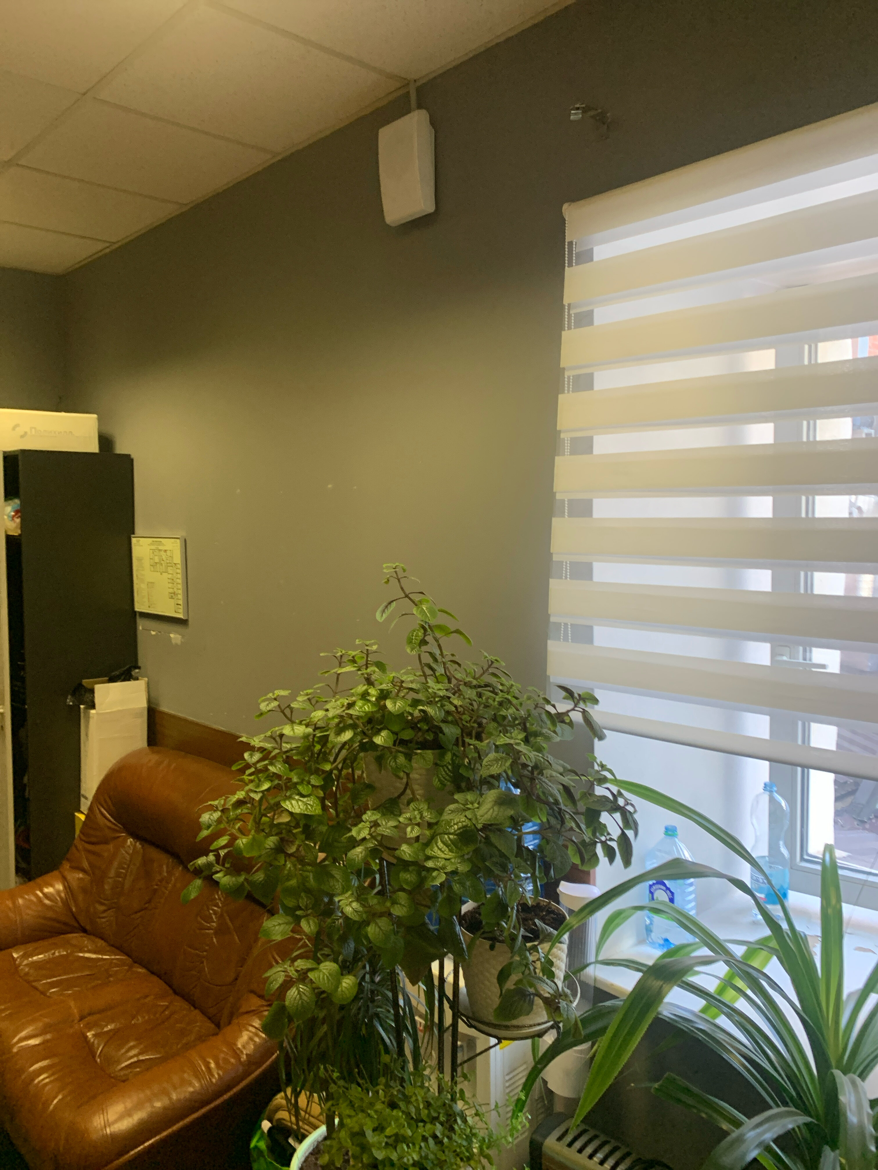 Фото StayWay на Цветном бульваре