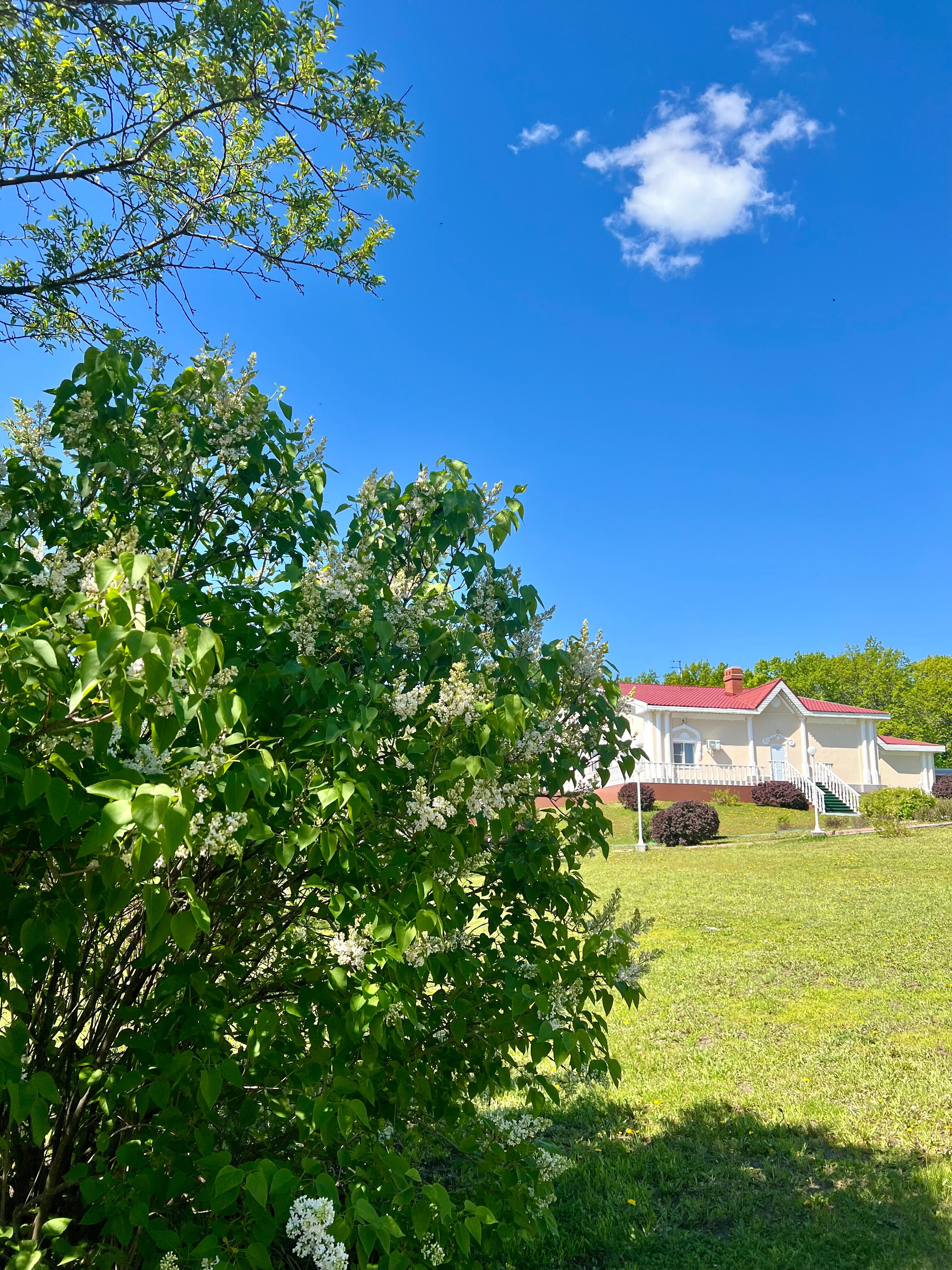 Фото Вишнёвая Поляна