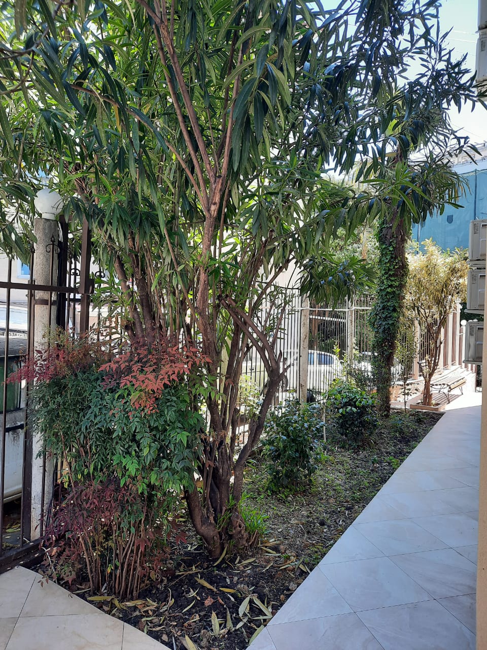 Фото АрМара