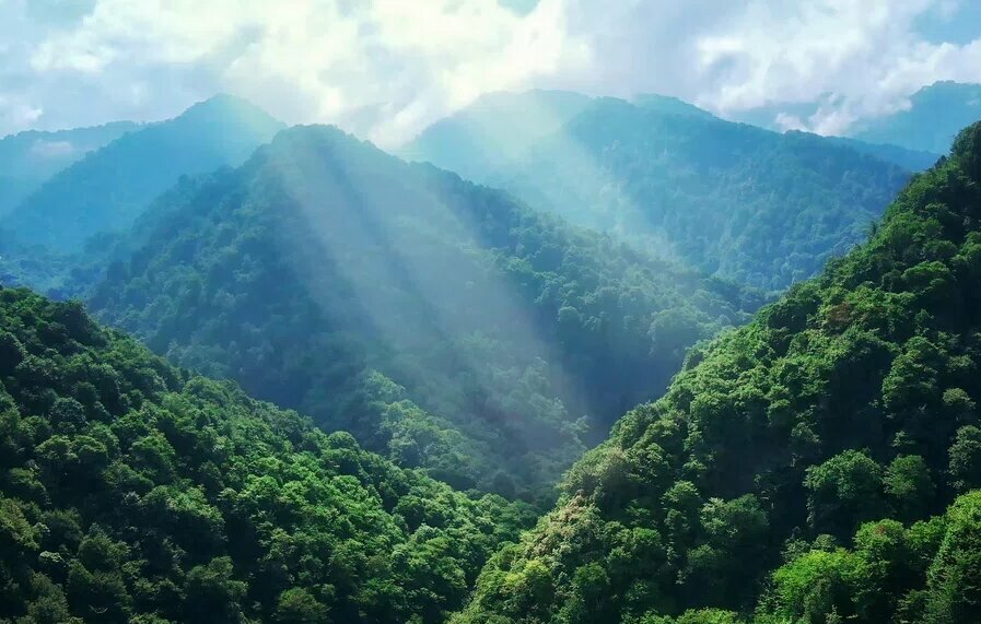 Mountain peak Гора Меписцкаро 2850 метров, Imereti, photo