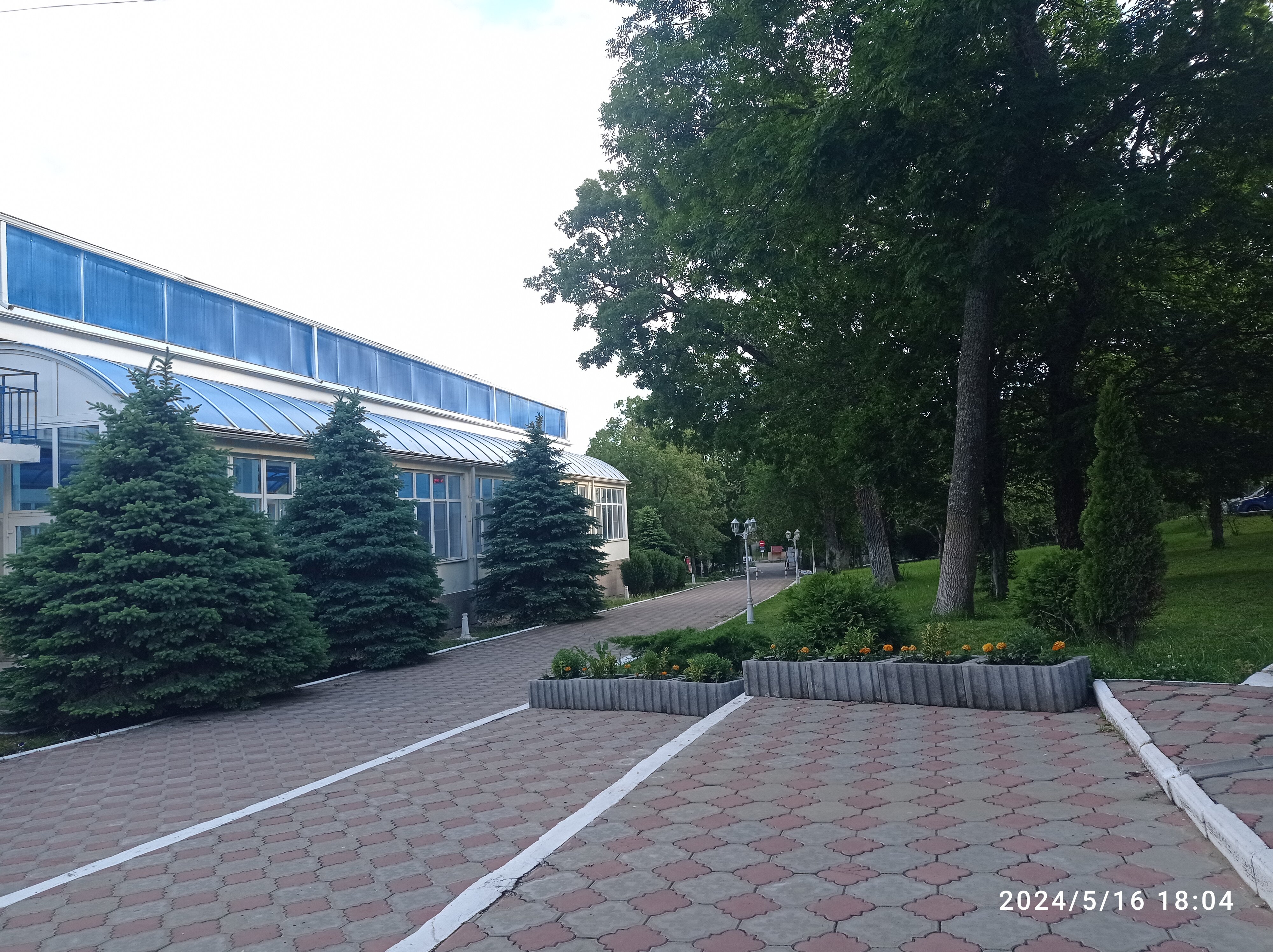 Фото Звёздный