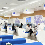 Amer Center (Shuraa Business Center, Al Karama, Bur Dubai, Dubai), centers of state and municipal services