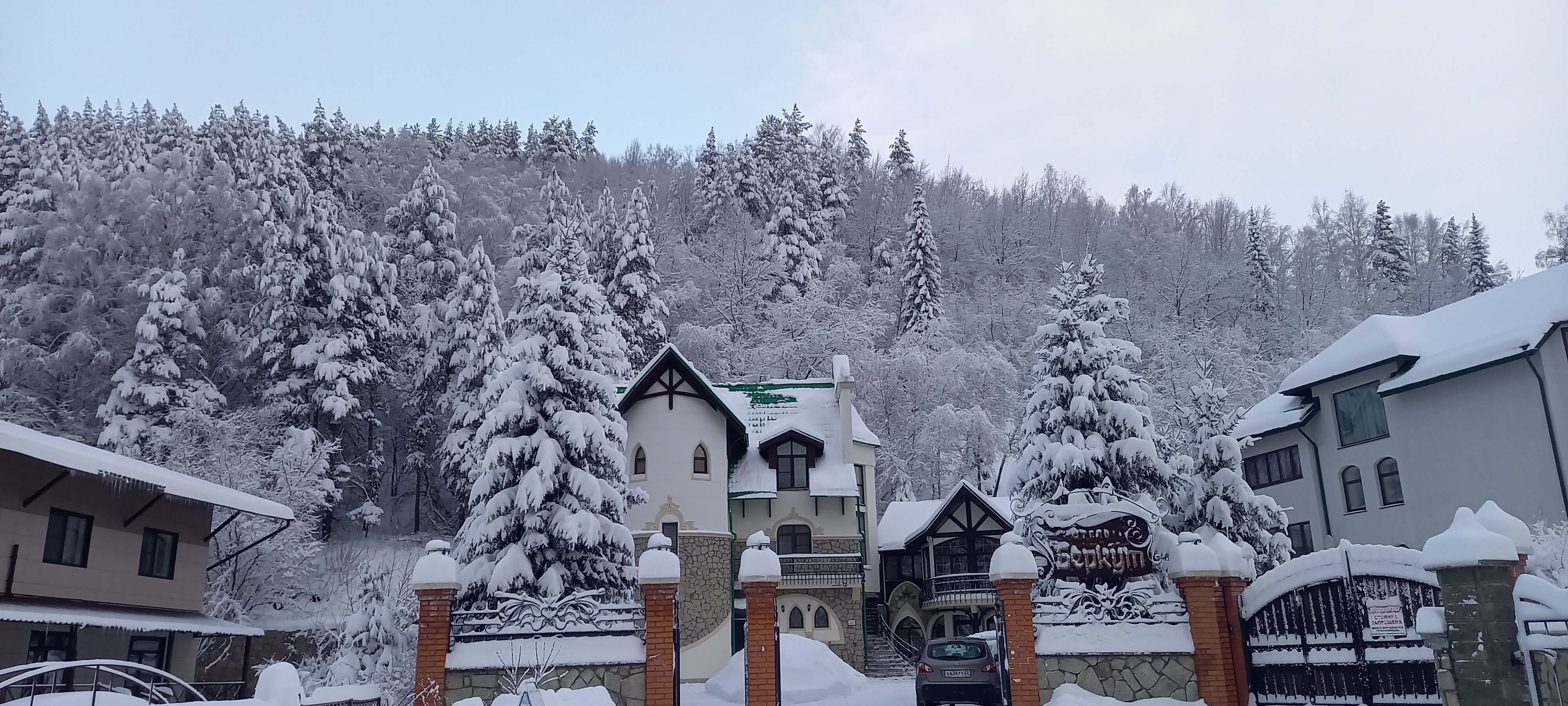 Фото Беркут