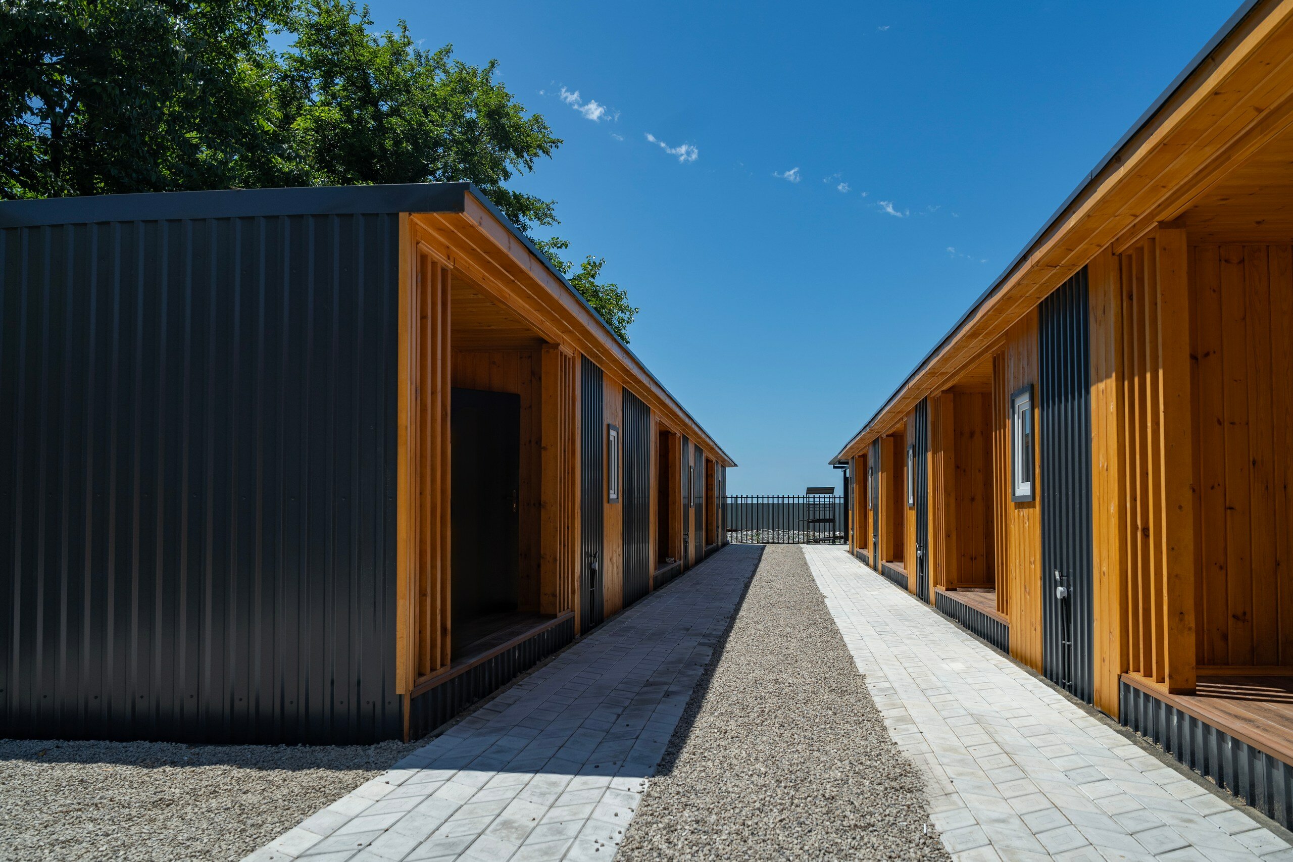 Фото Dионис