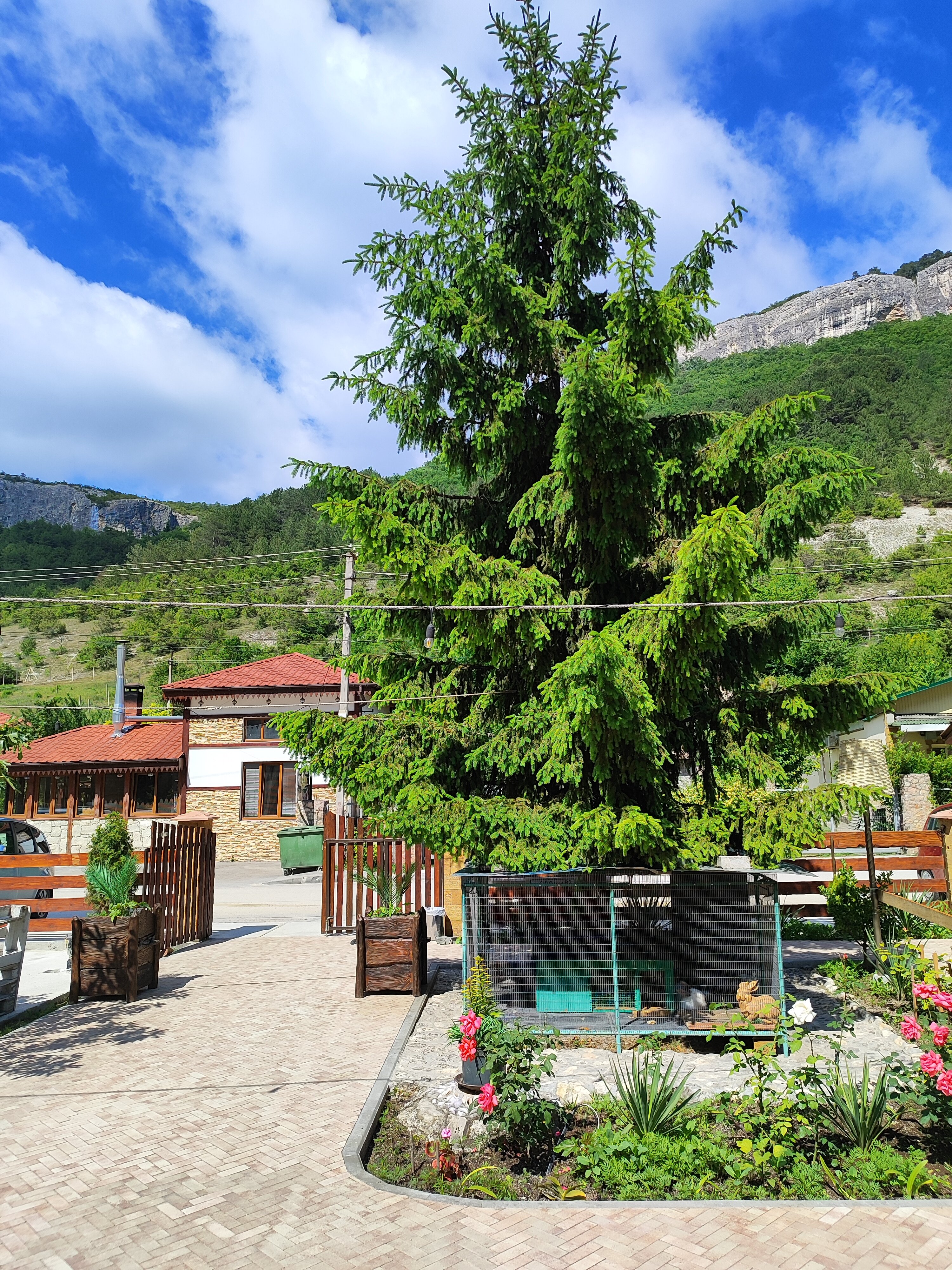 Фото Гостевой дом Эфенди