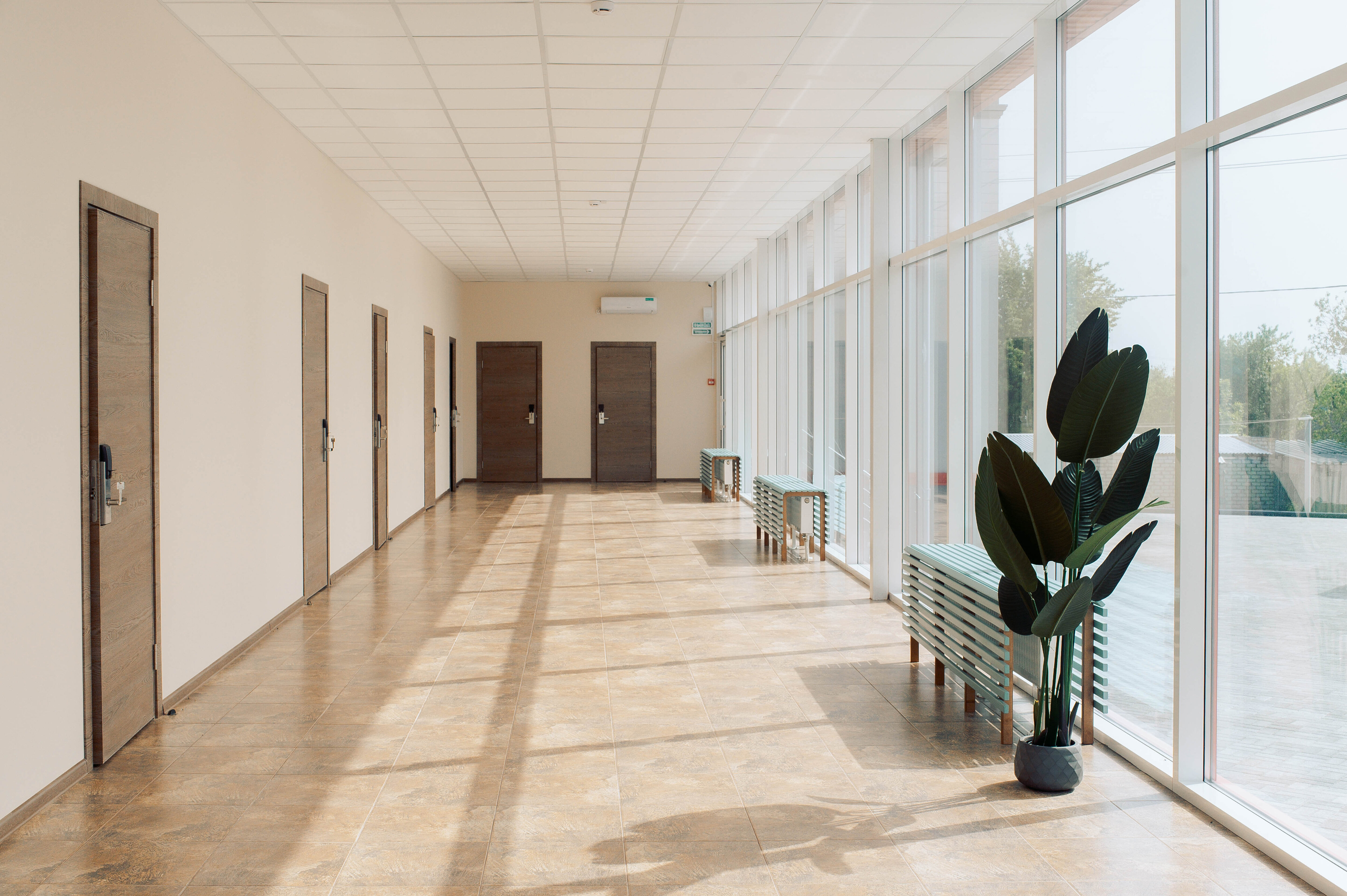 Фото Орбита