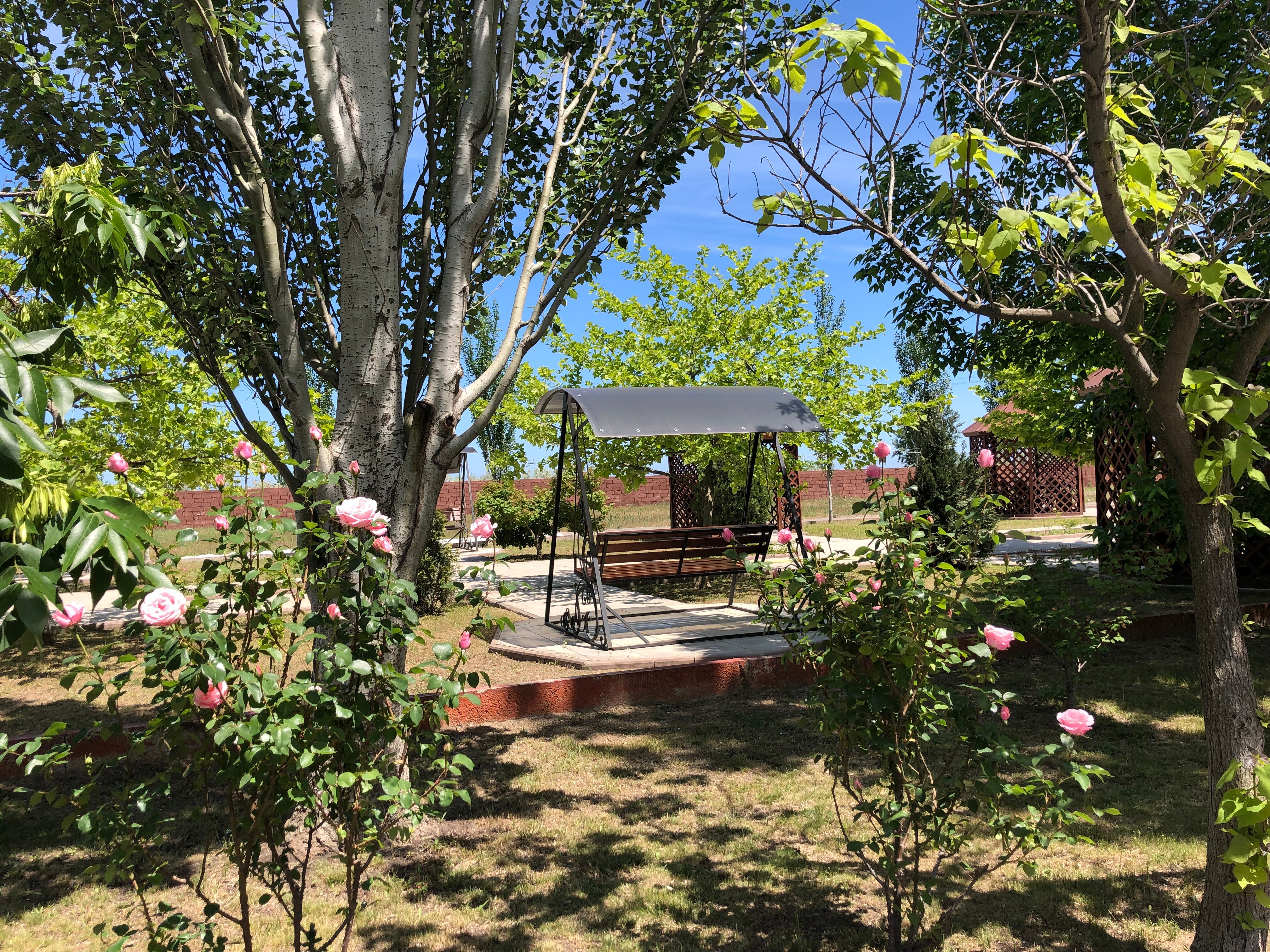 Фото Метрополь