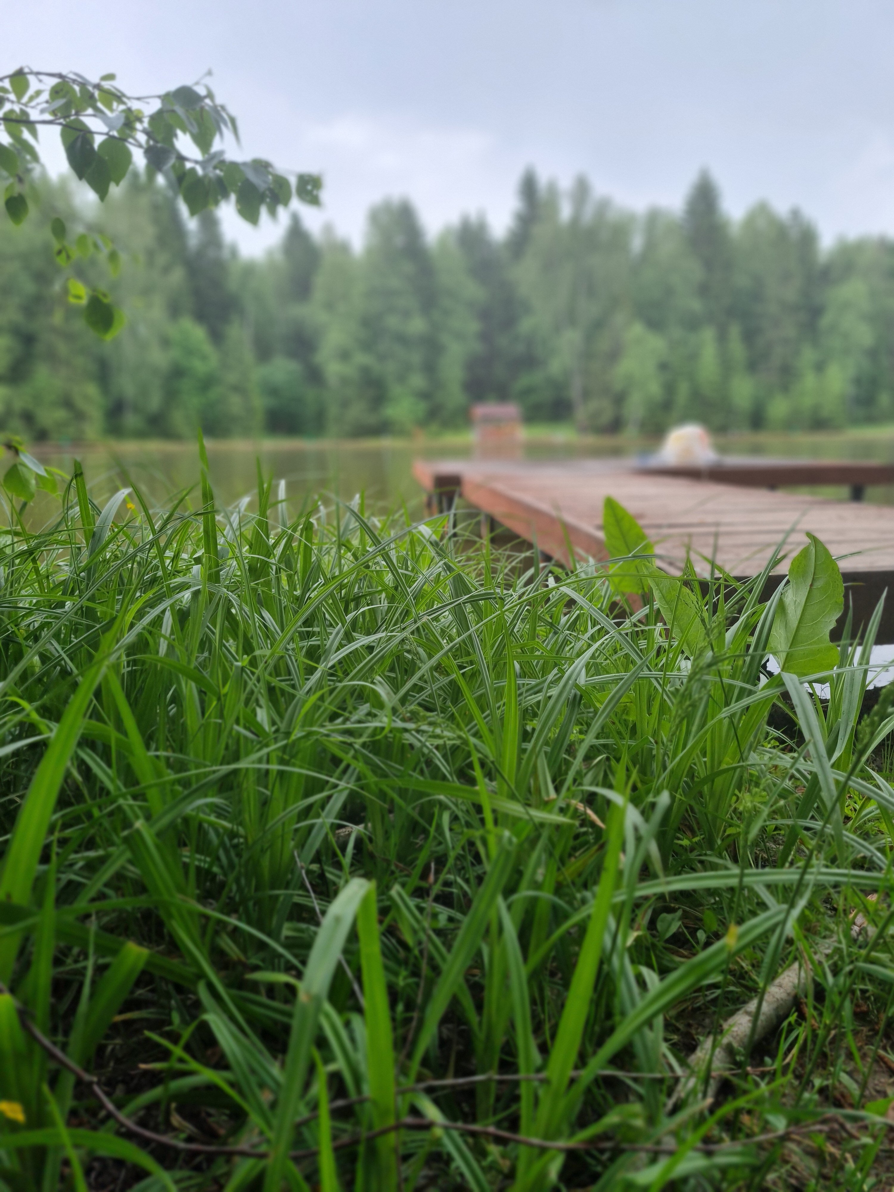 Фото Хомяковское подворье