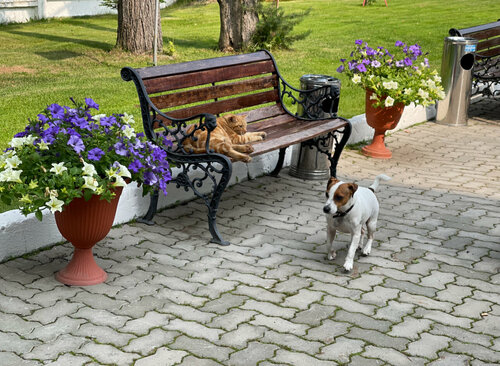 Гостиница Юбилейная в Южно-Сахалинске