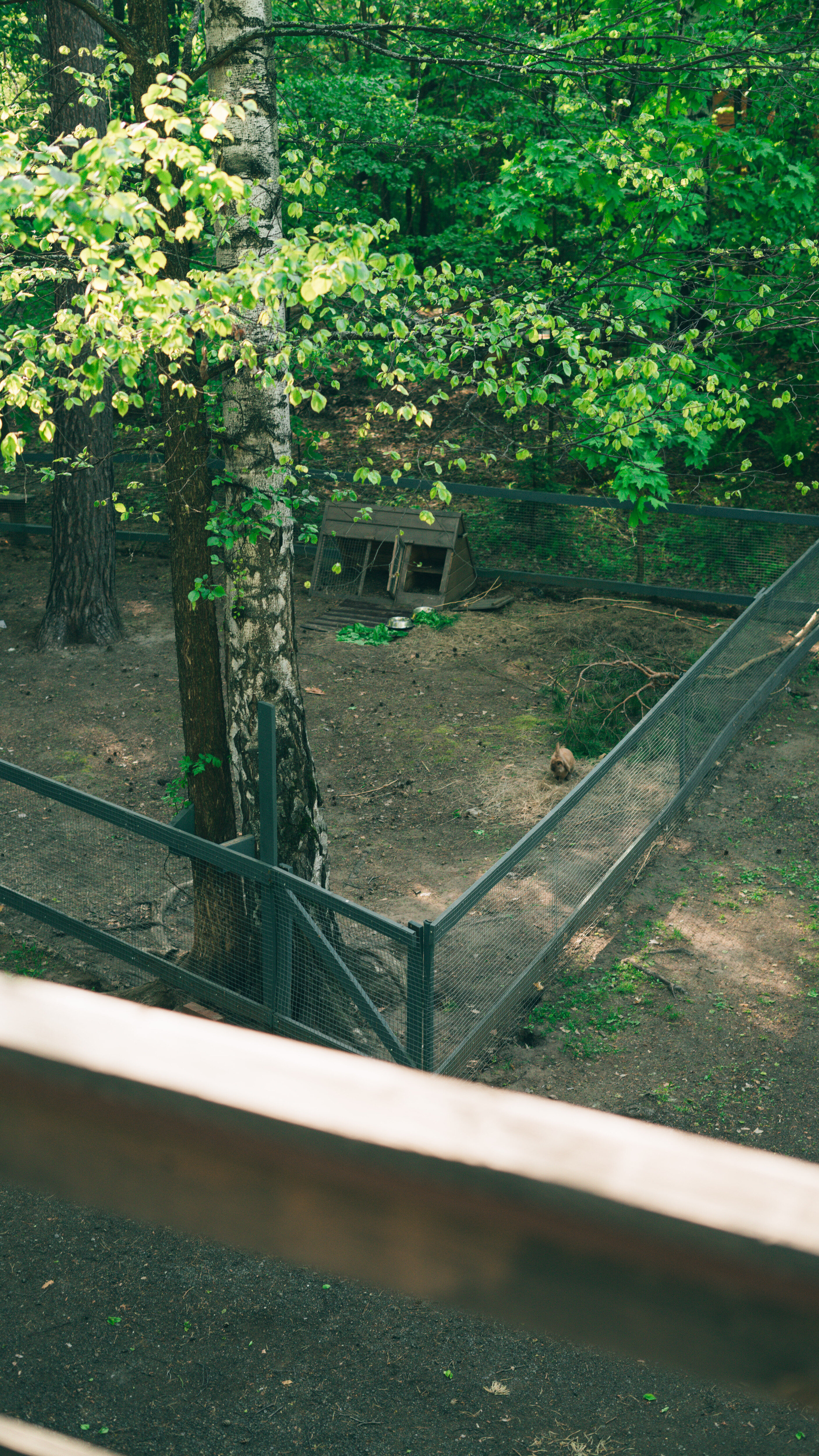 Фото Слобода