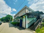 Пчёлкина лавка (Sovetskaya Street, 13), productos para la apicultura