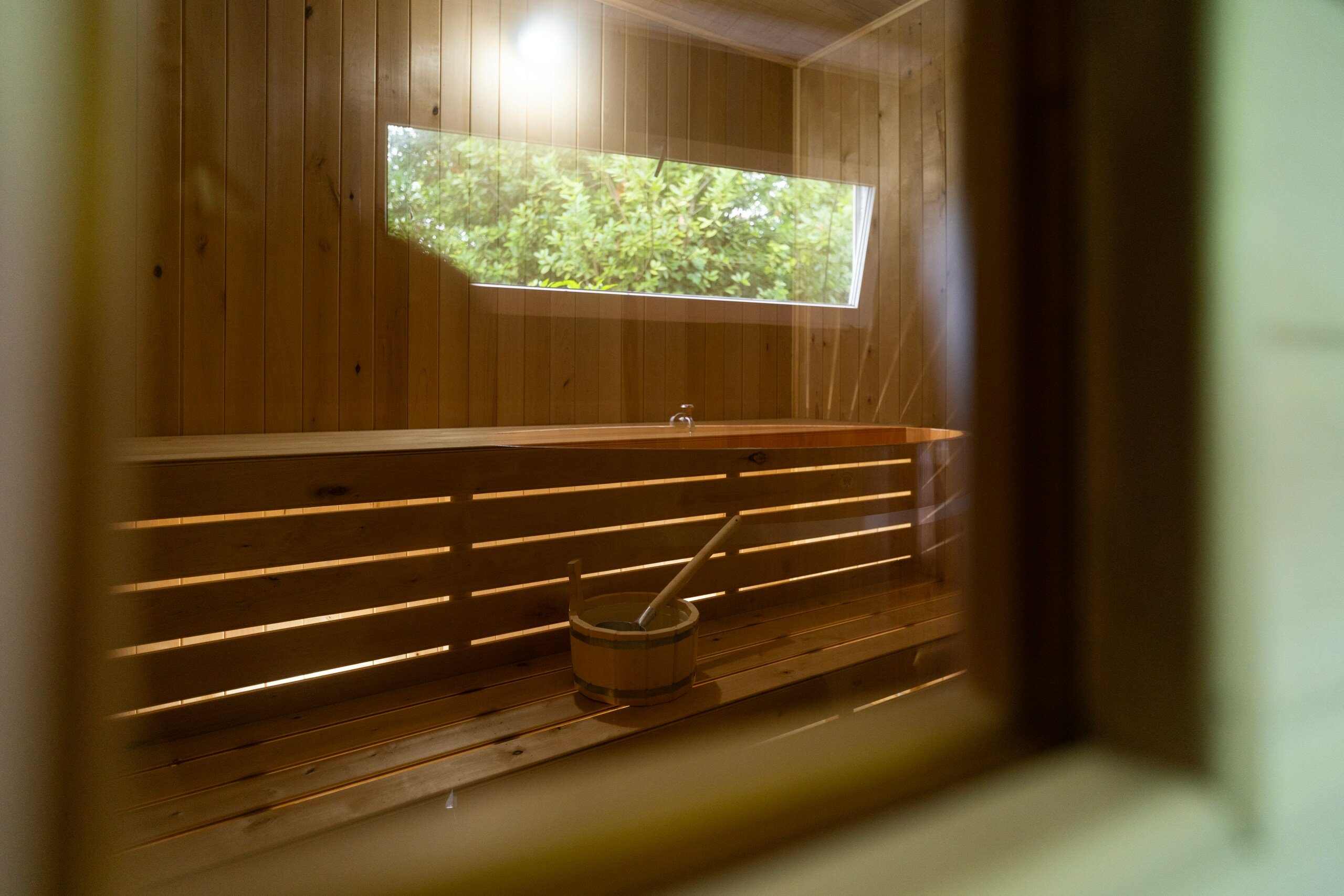 Фото Dионис