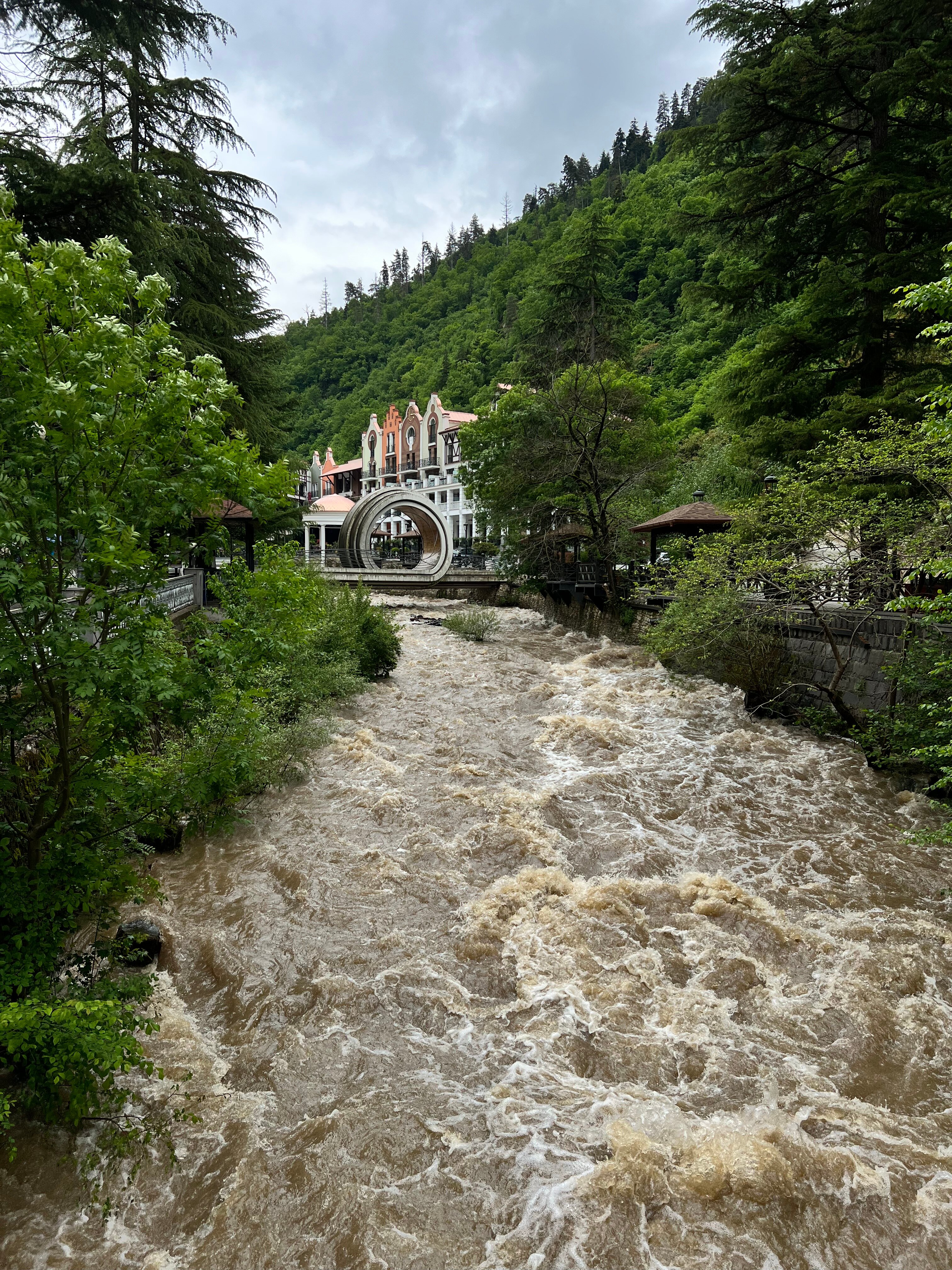 Фото Crowne Plaza Borjomi 