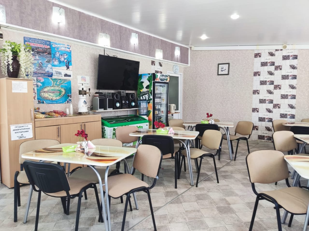 Фото Регата