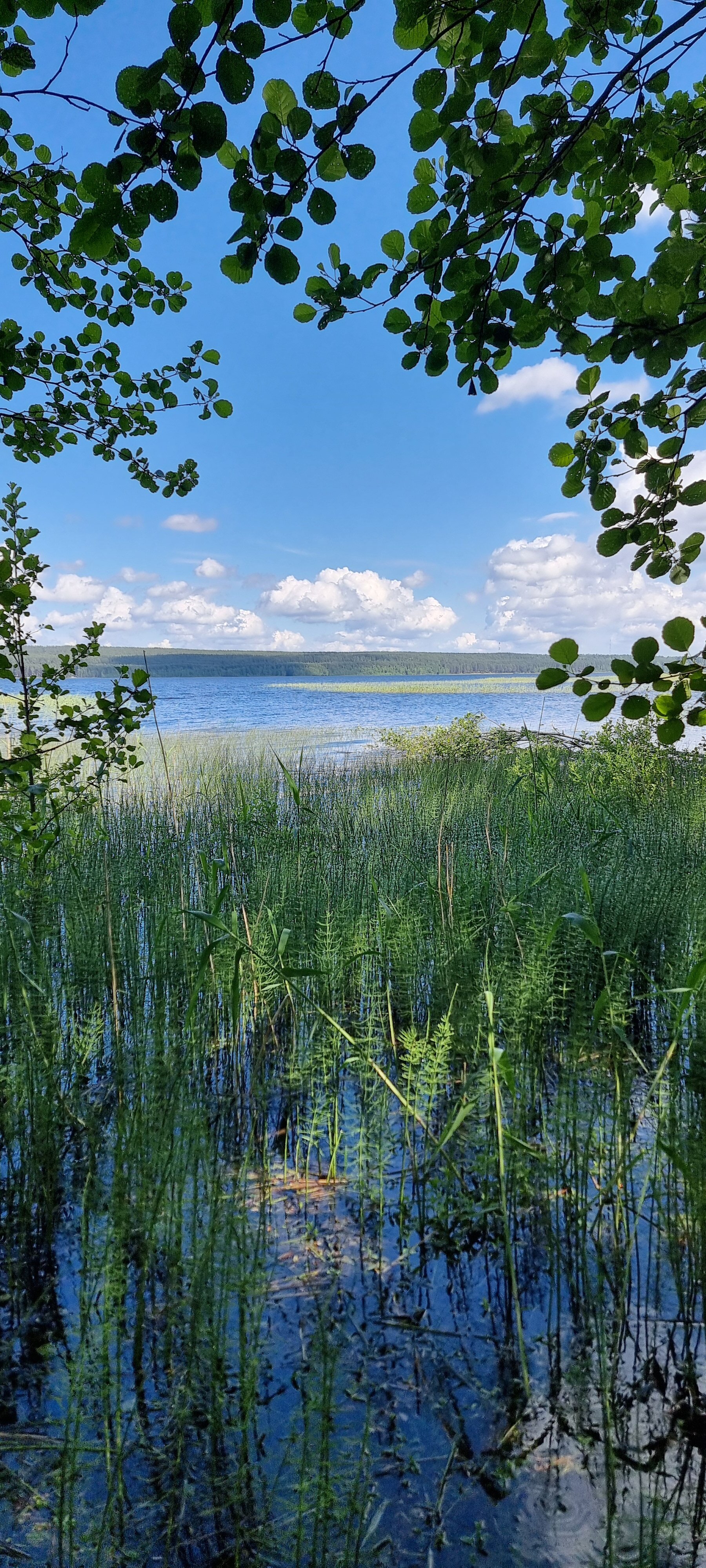 Фото Shanti Home Les