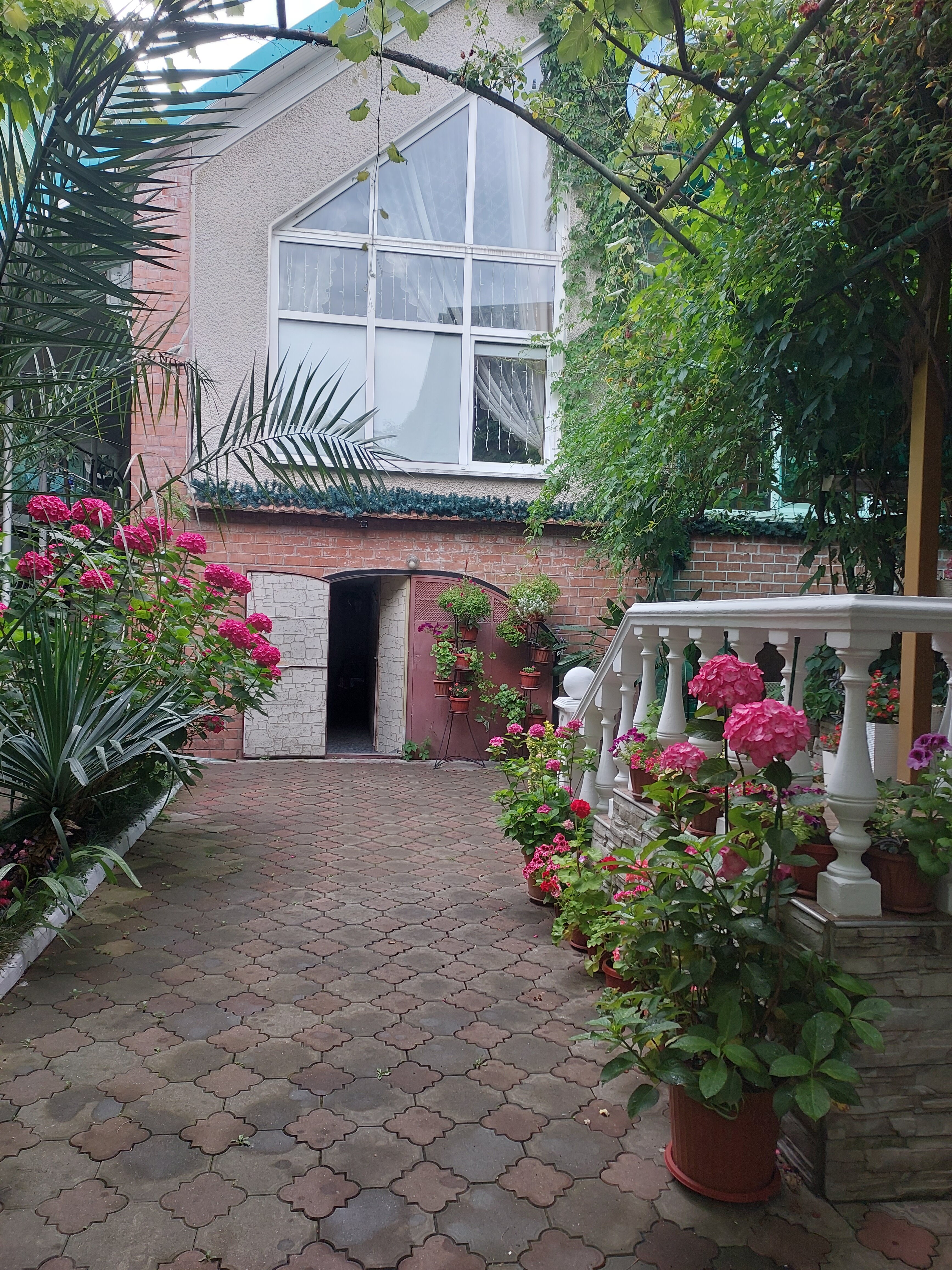 Фото Эдельвейс