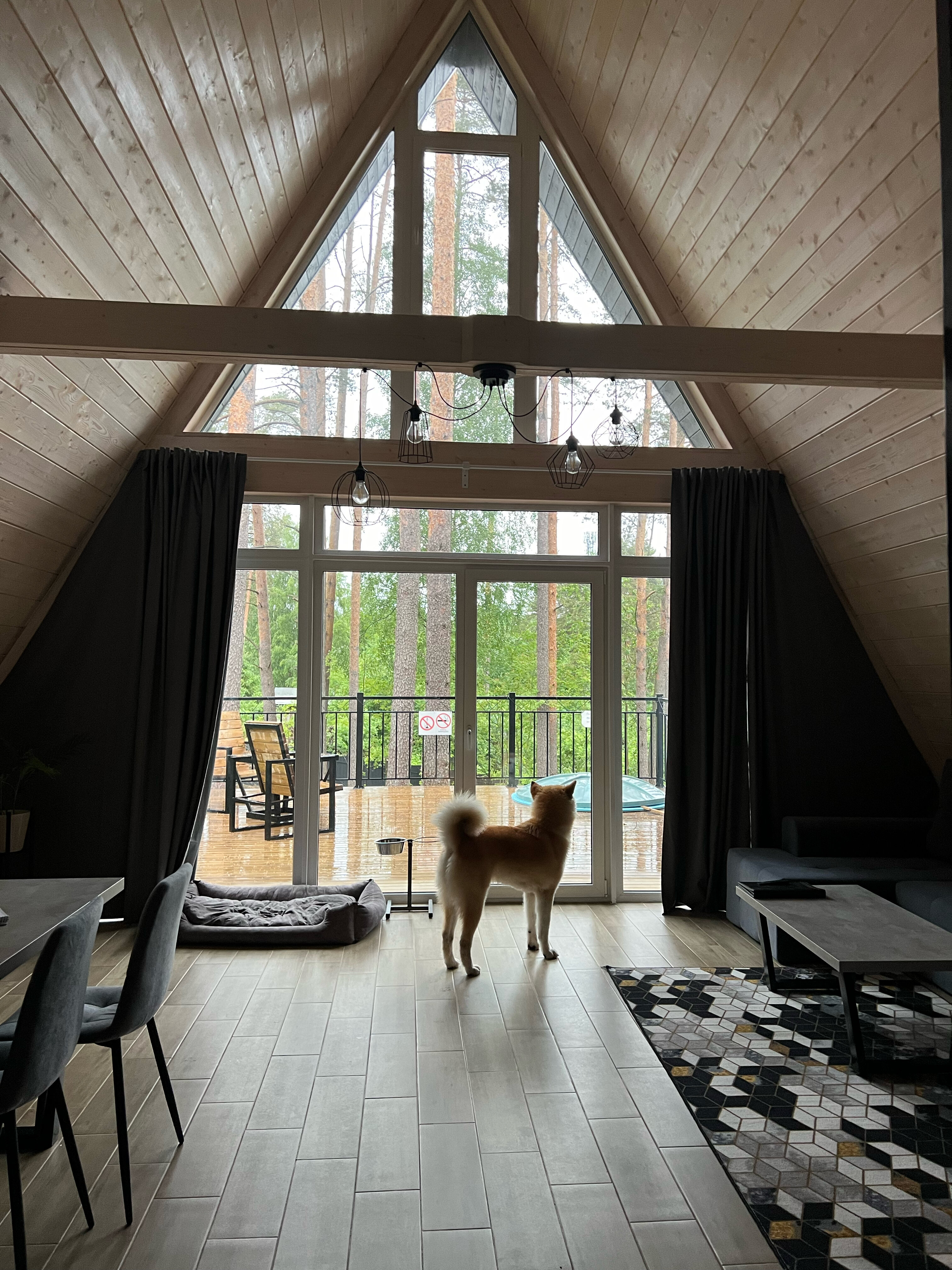 Фото Коттеджный комплекс Сосны