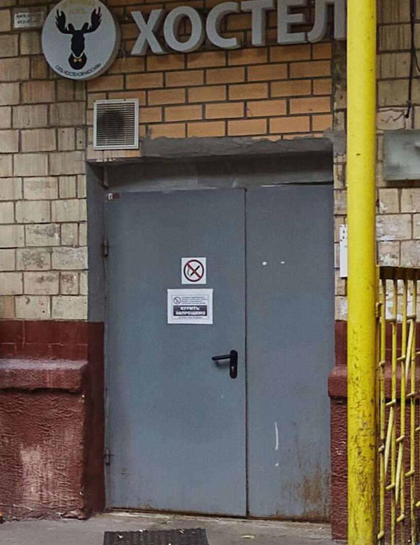 Фото Вежливый лось