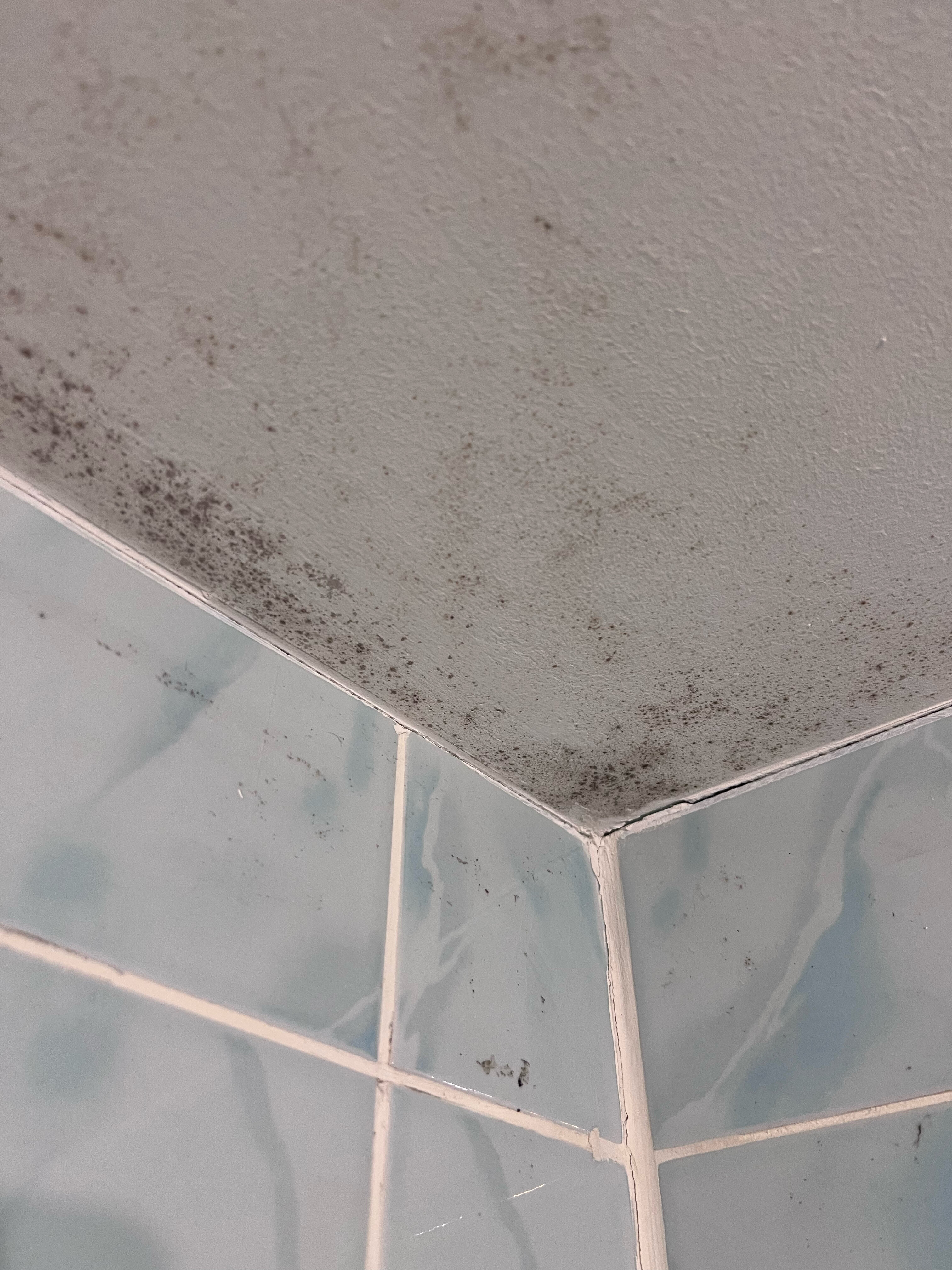 Фото Simple Bon Voyage