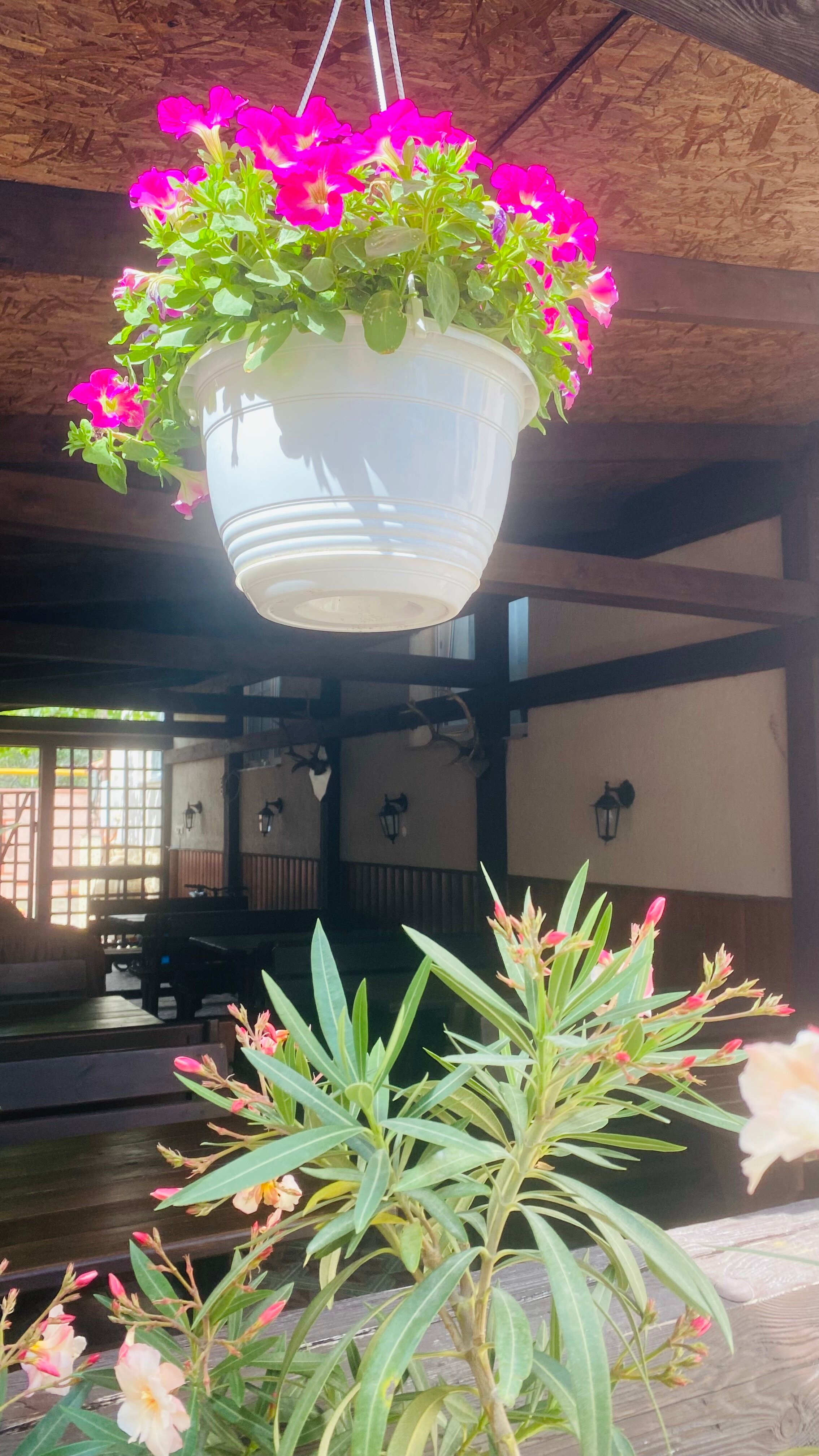 Фото Гостевой дом на Ялтинской