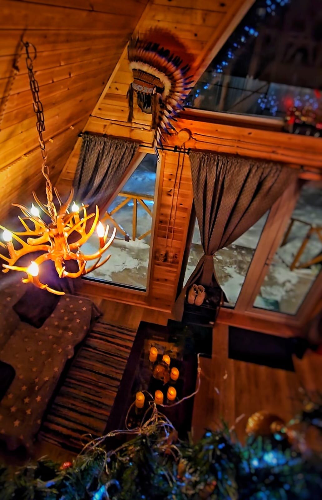 Фото Не тот лес