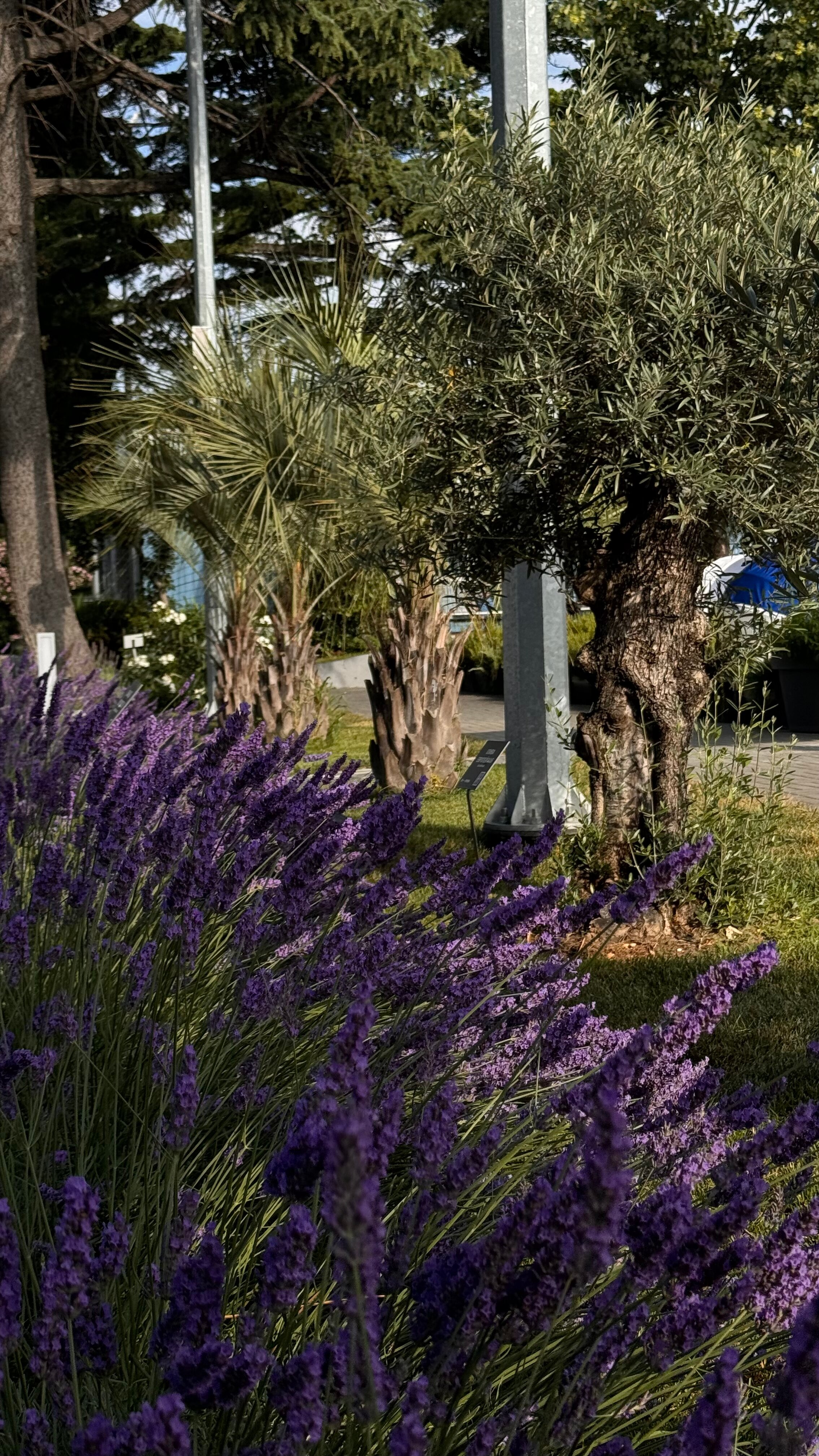 Фото Си-отель