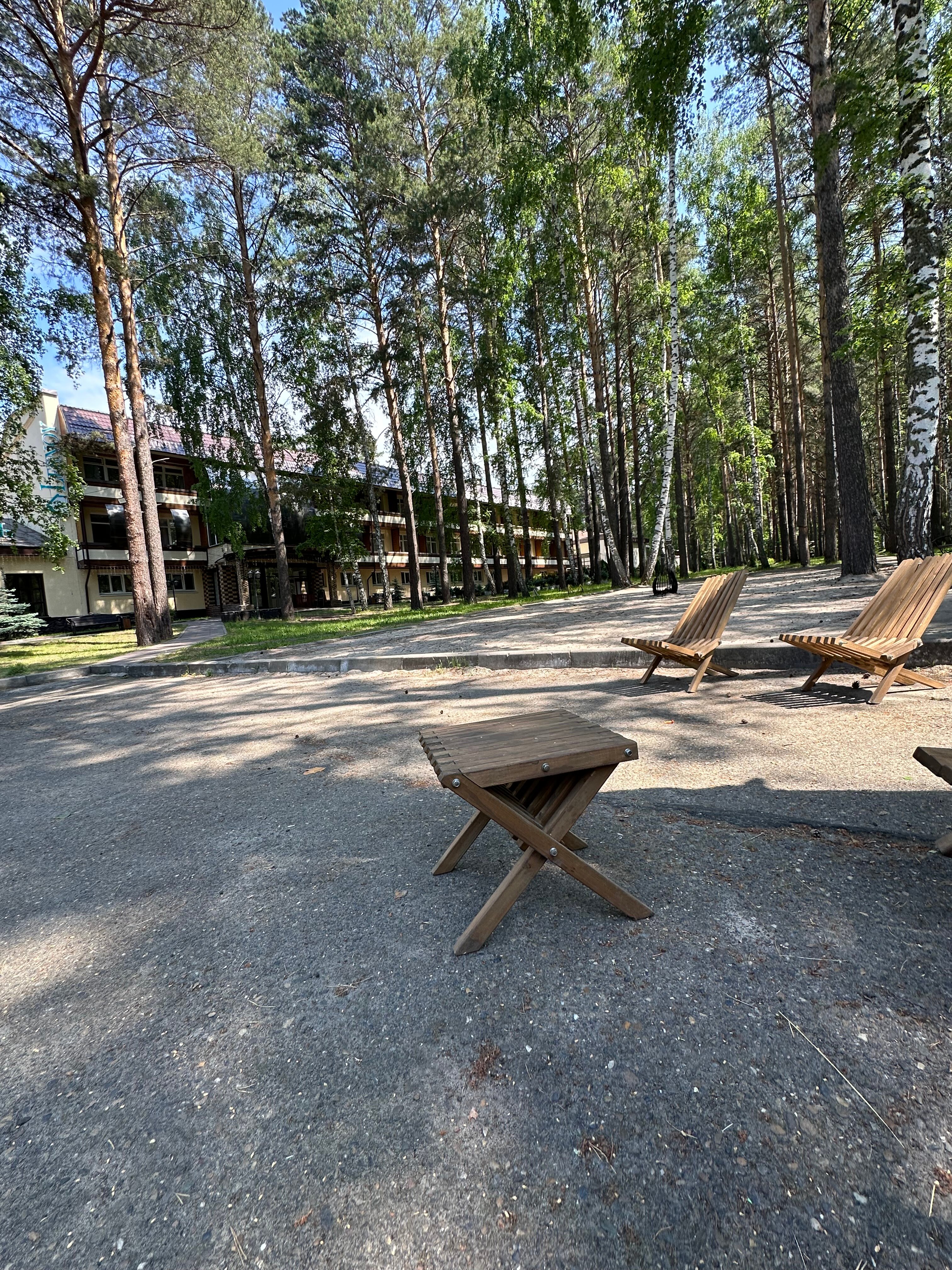 Фото Лесной