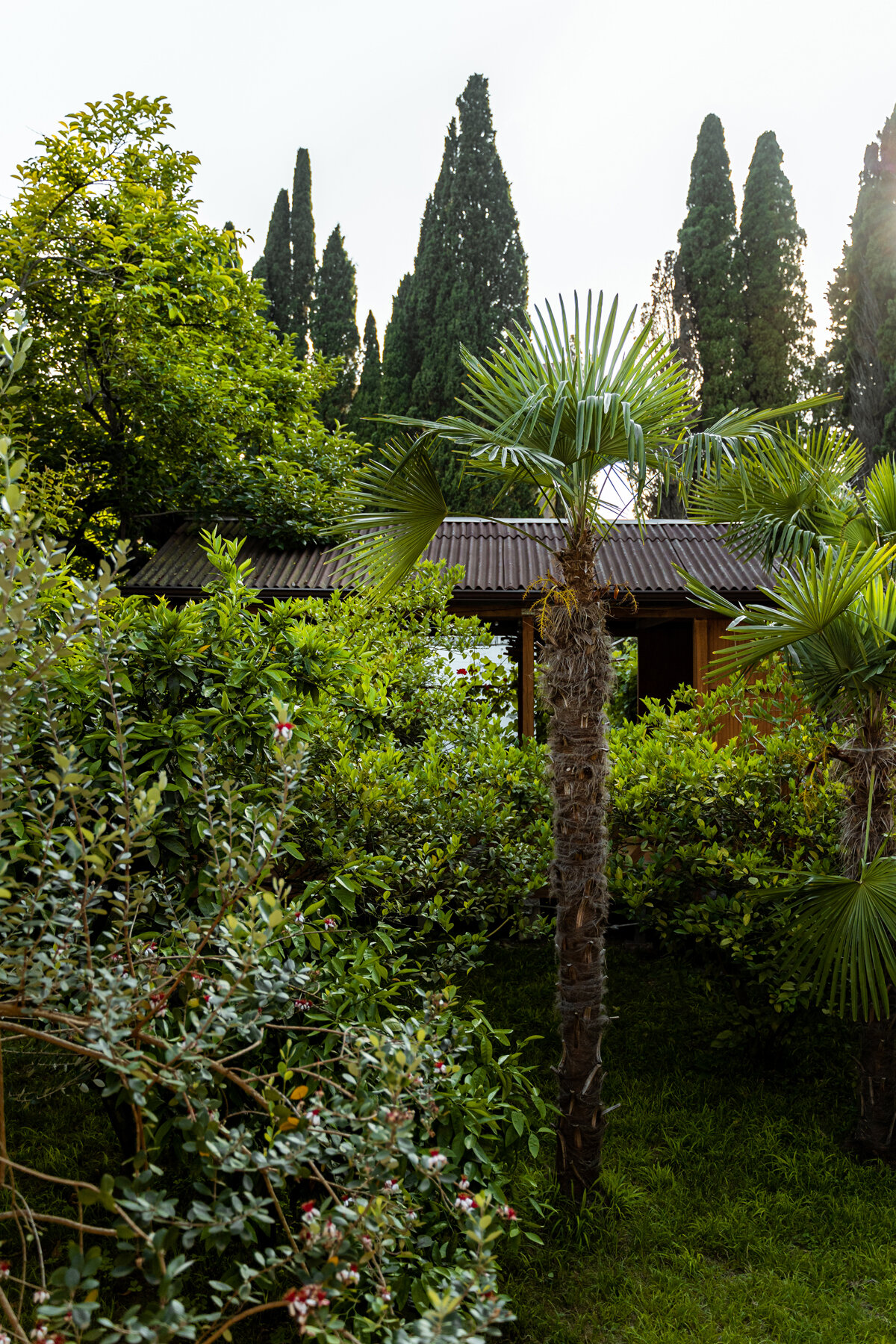 Фото Гостевой дом Кипарис