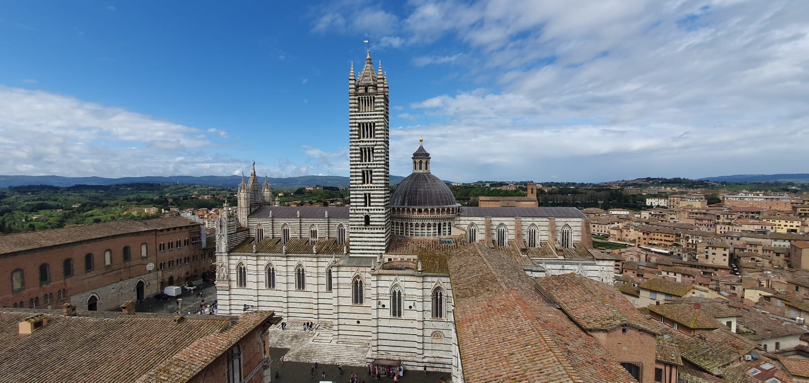 Фото Hotel Minerva