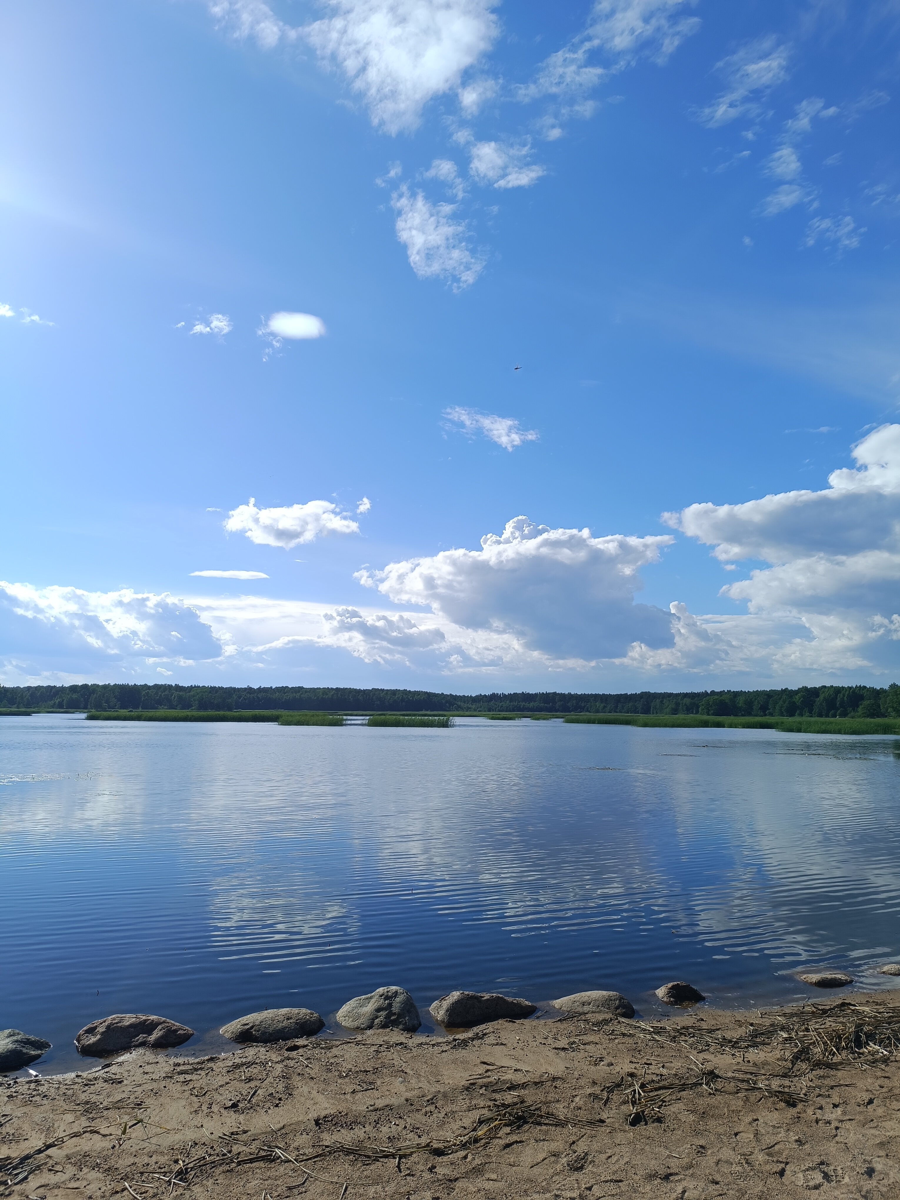 Фото Zimino Park