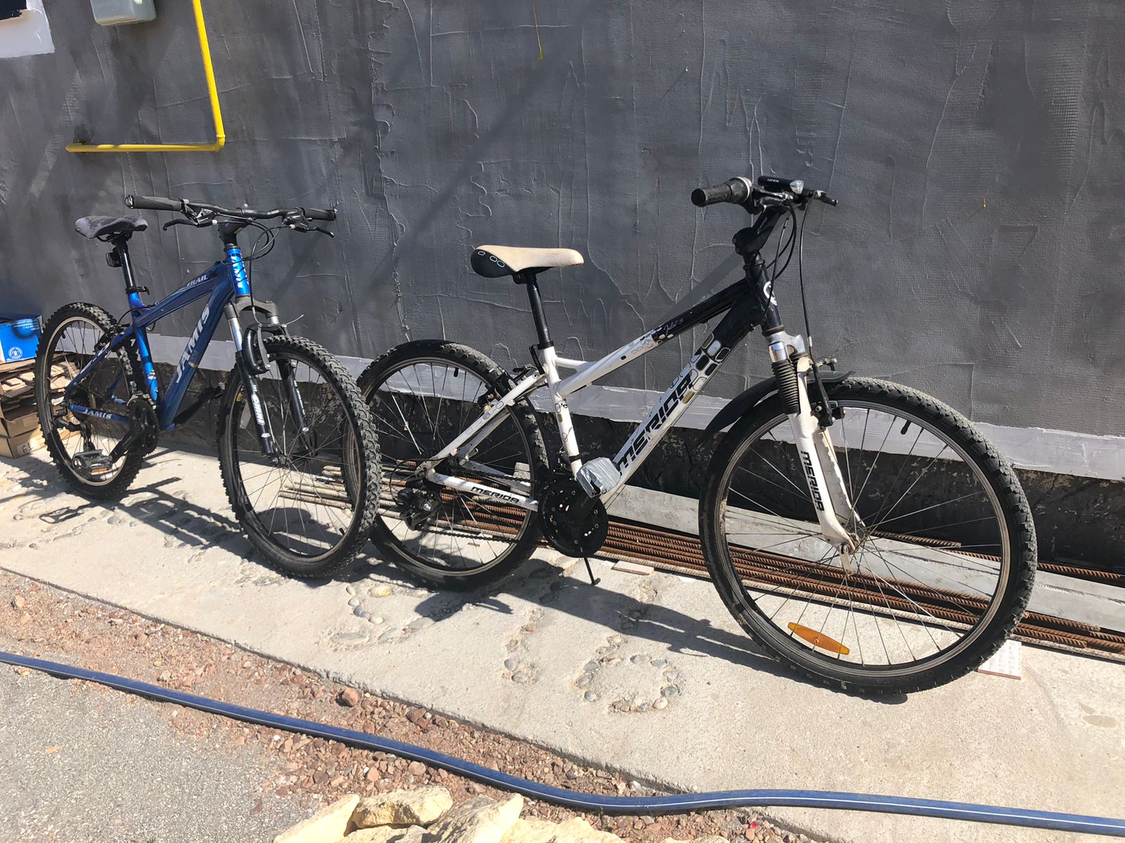 Фото Мирабель