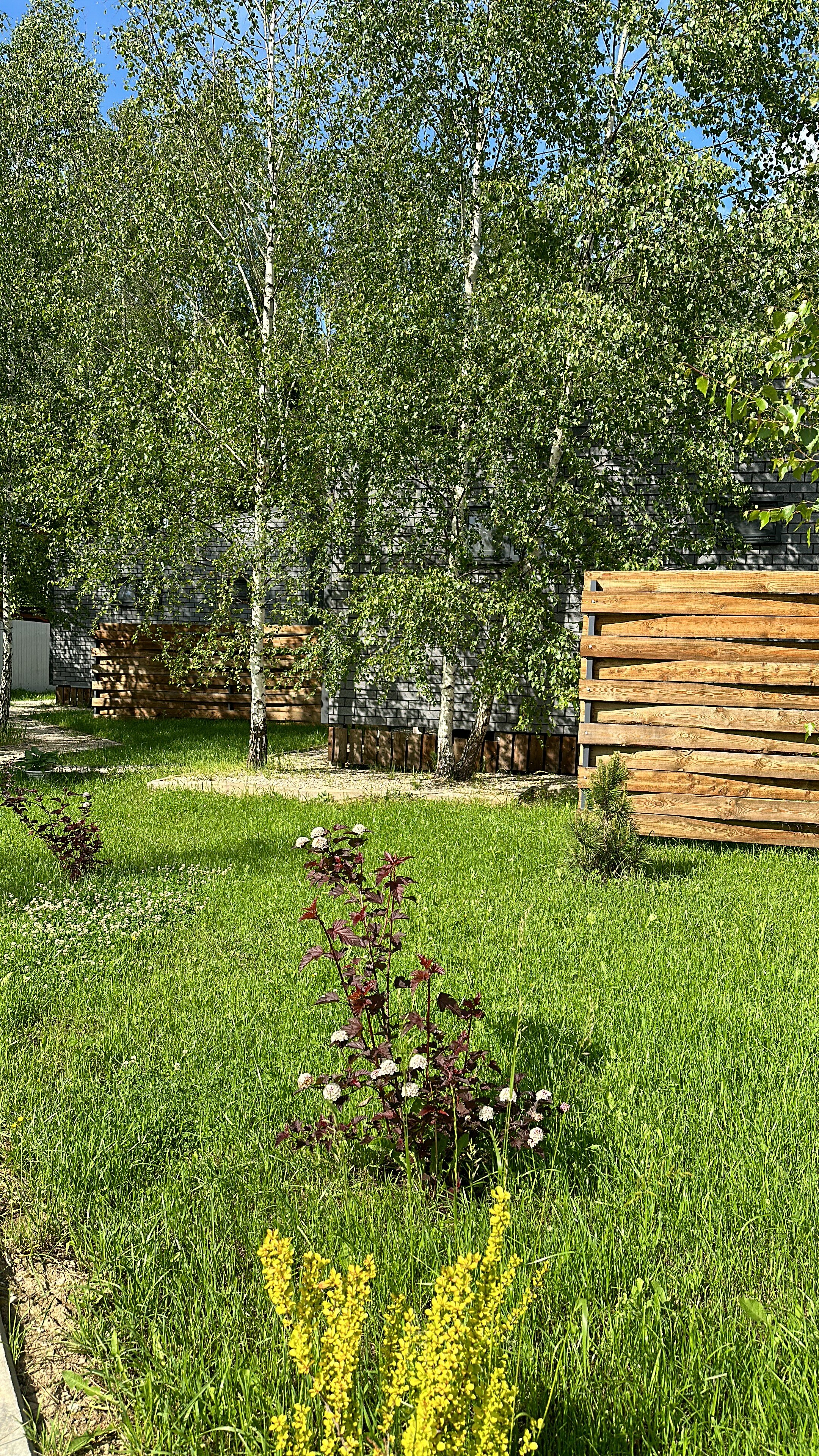 Фото Bereza Country