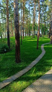 Терра Теана