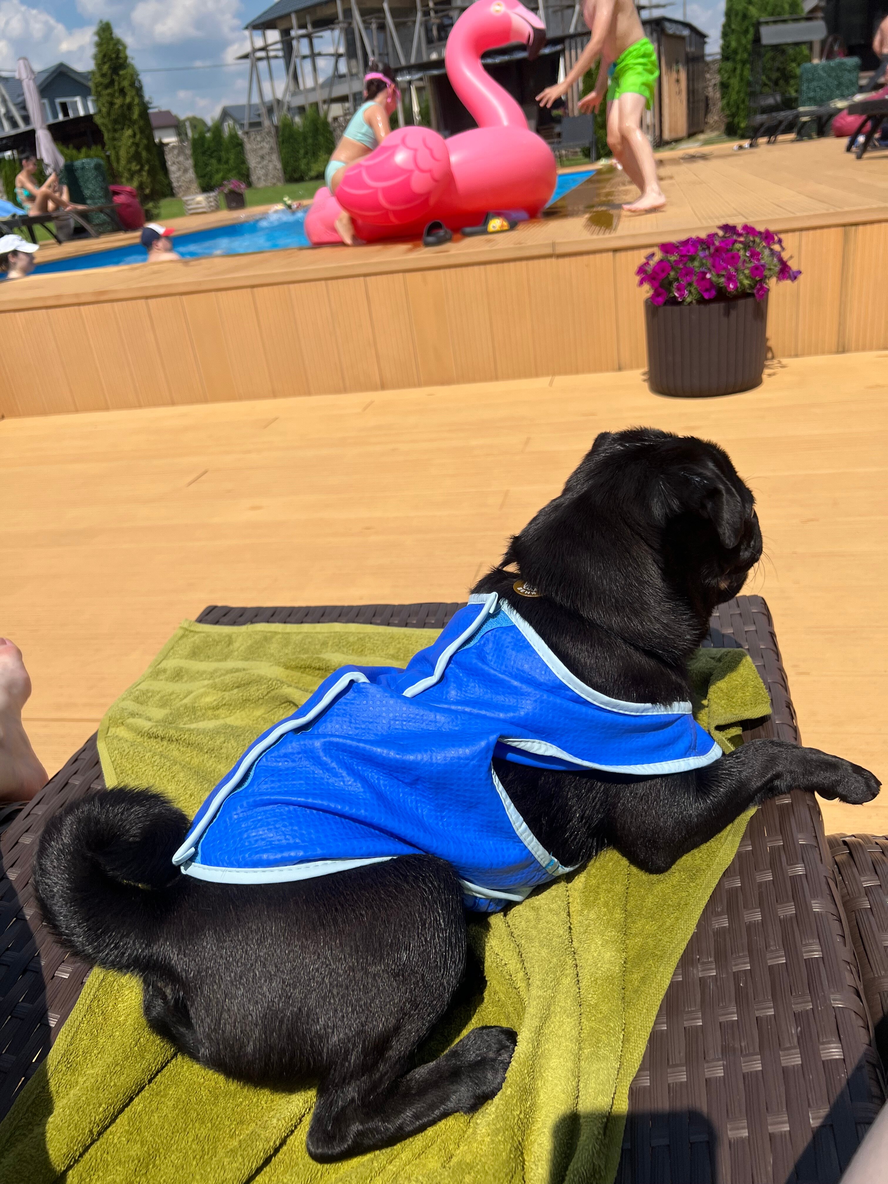 Фото Шале у воды