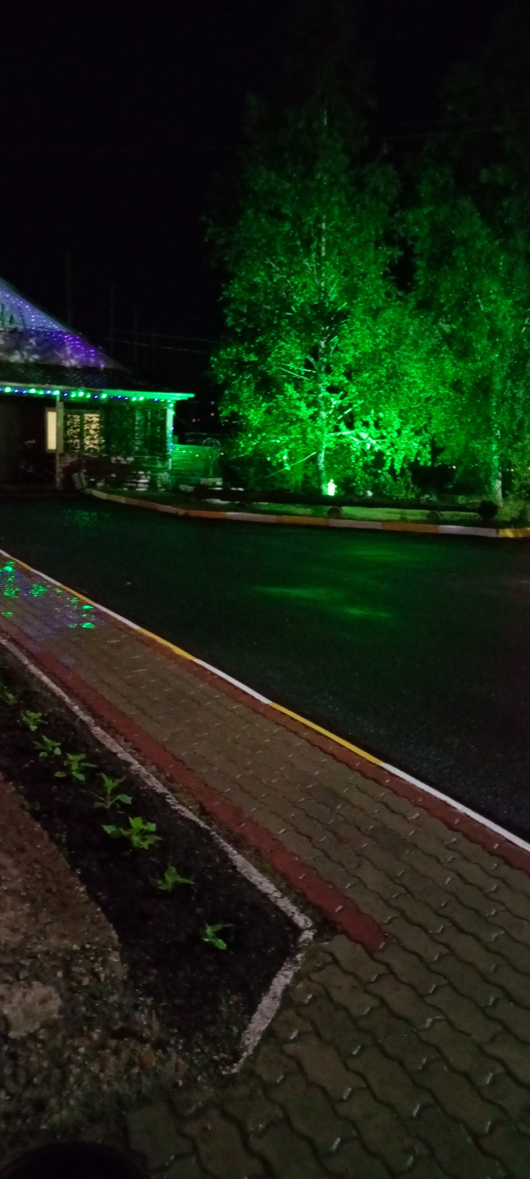 Фото Медвежий угол