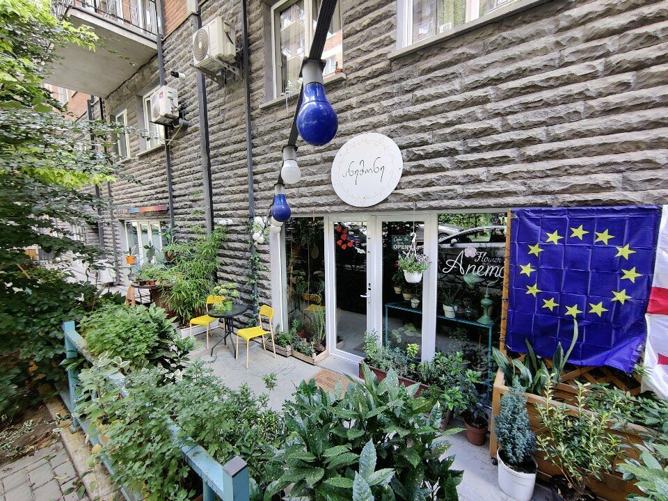 Flowers and bouquets delivery Anemone Flower Shop, Tbilisi, photo