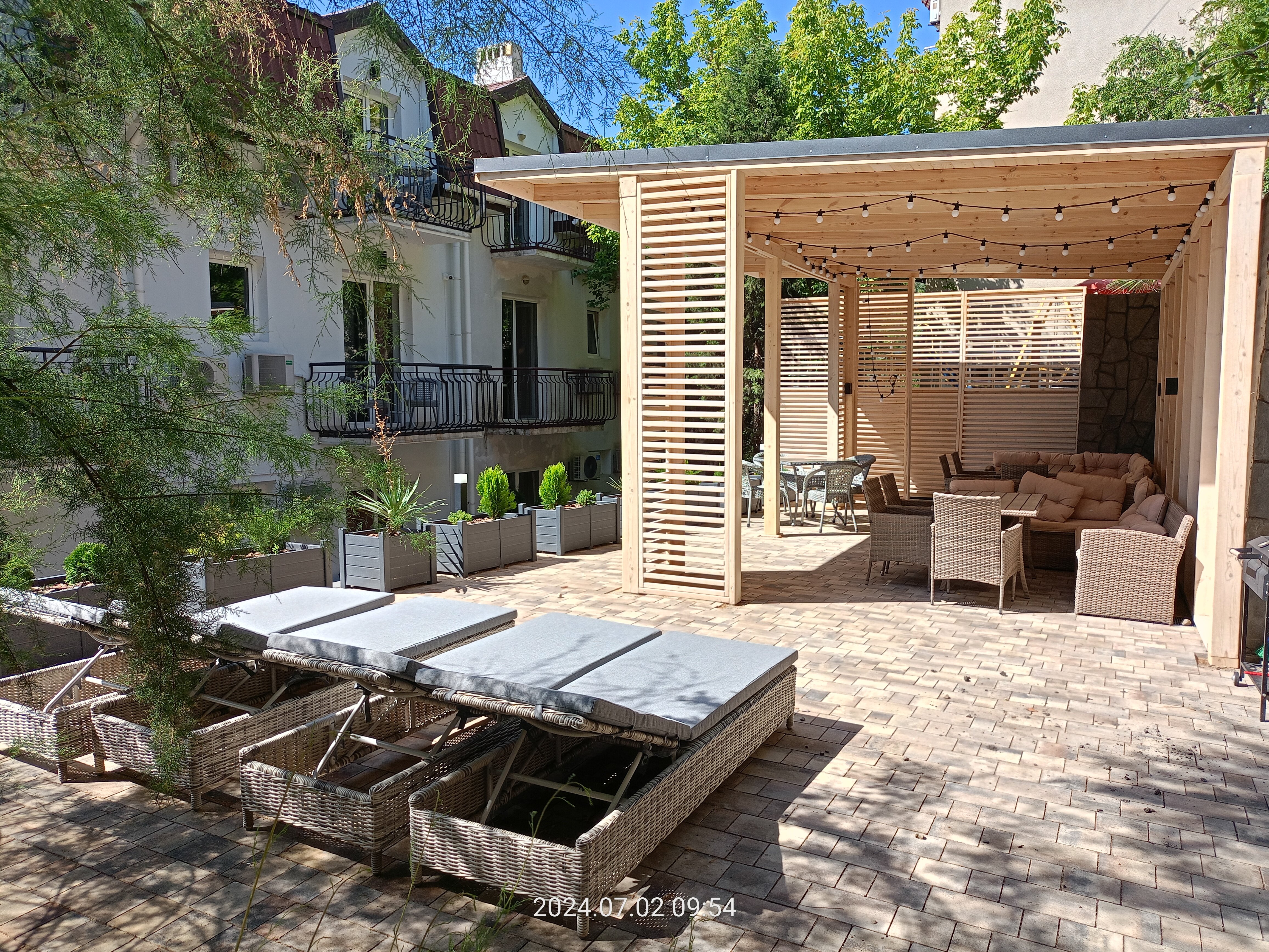 Фото Южный Кедр