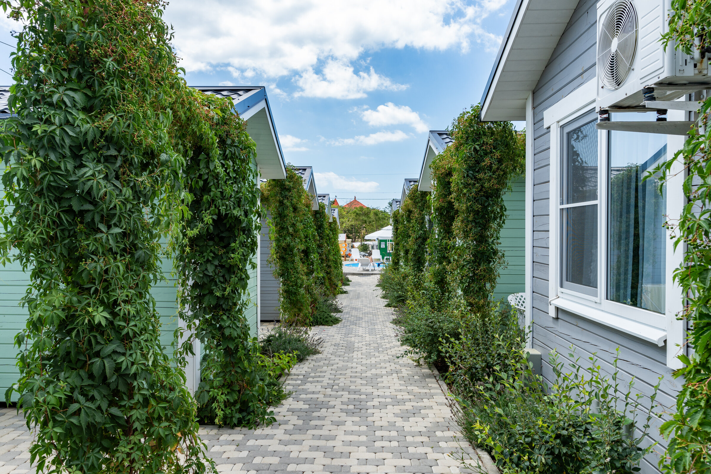 Фото Счастье