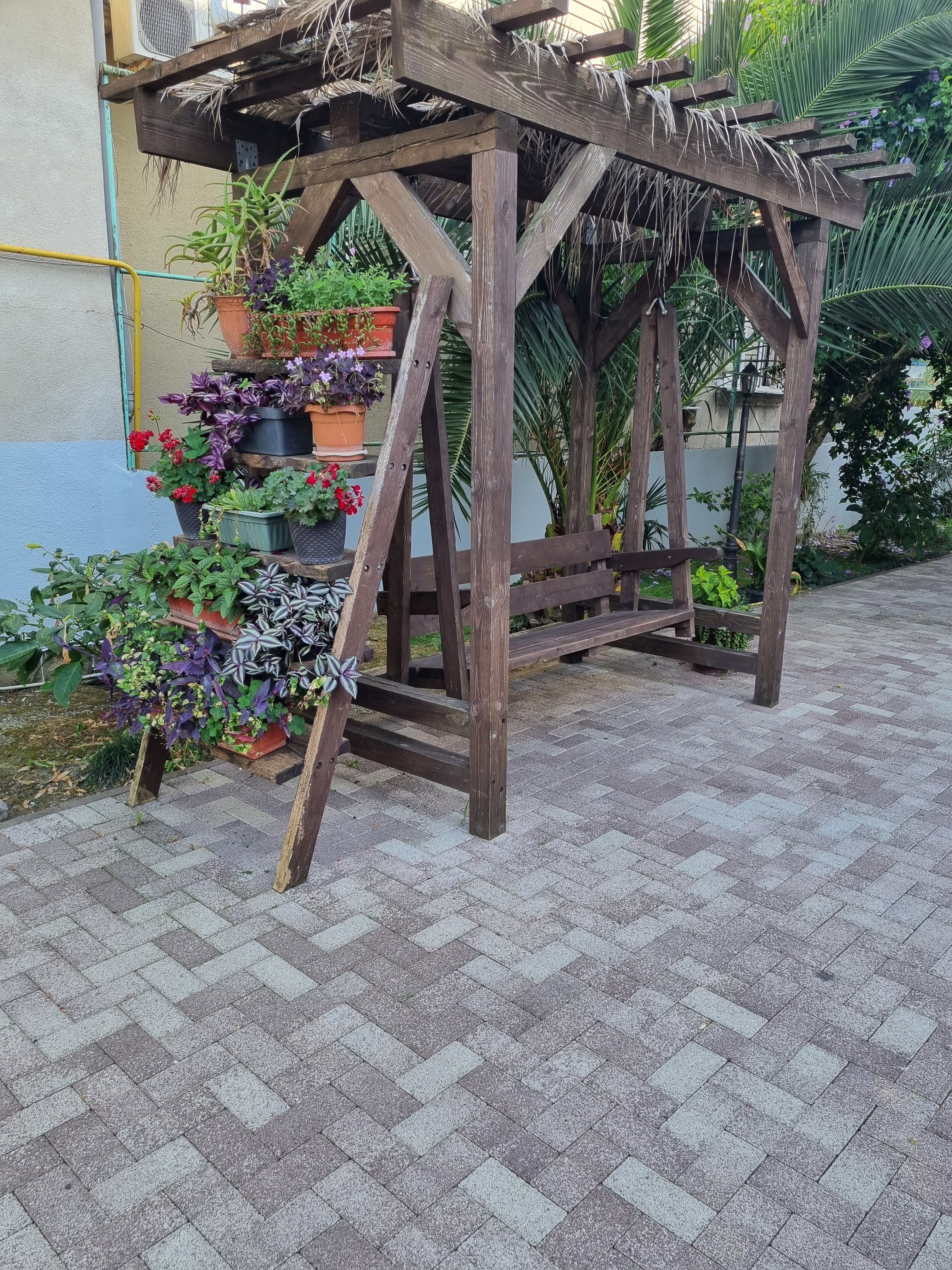 Фото Бумеранг