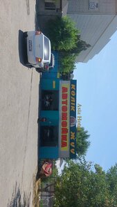 Гостиница Asia Hotel