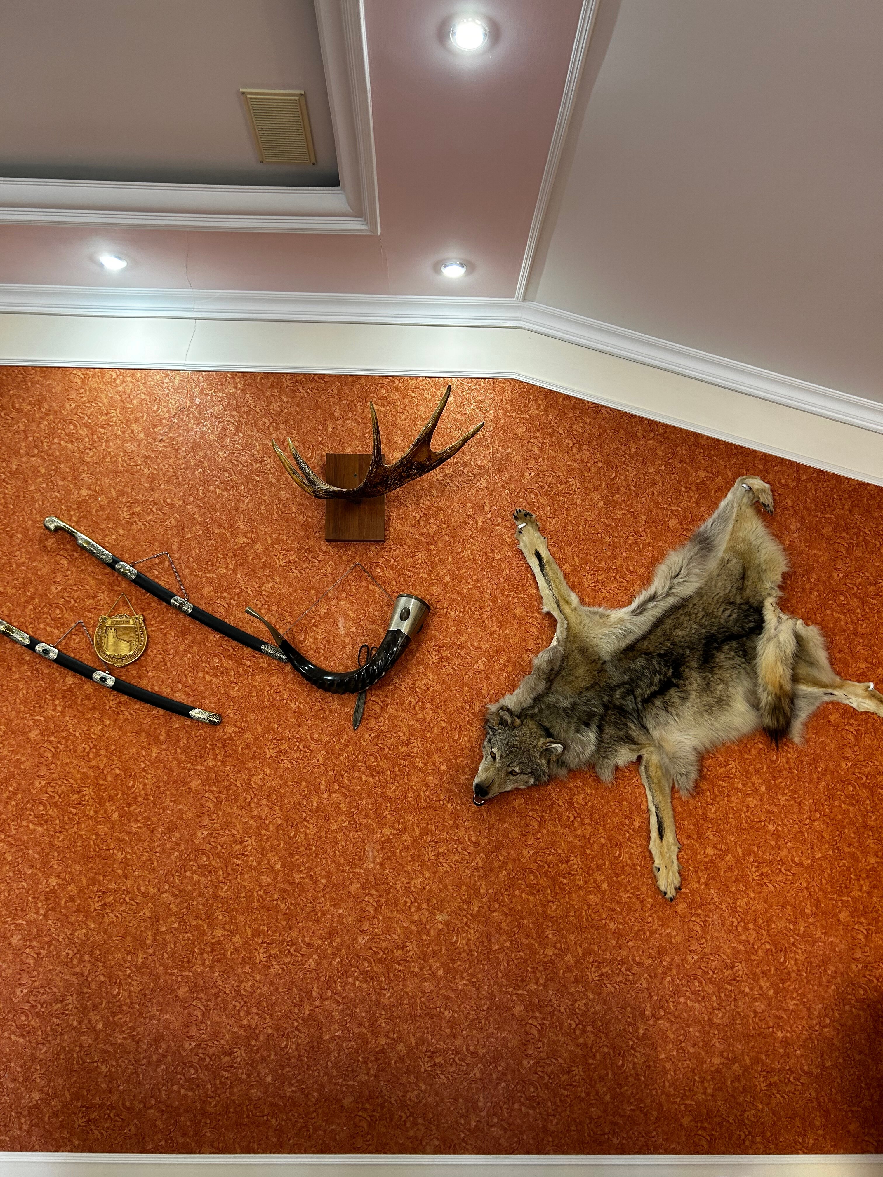 Фото Версаль