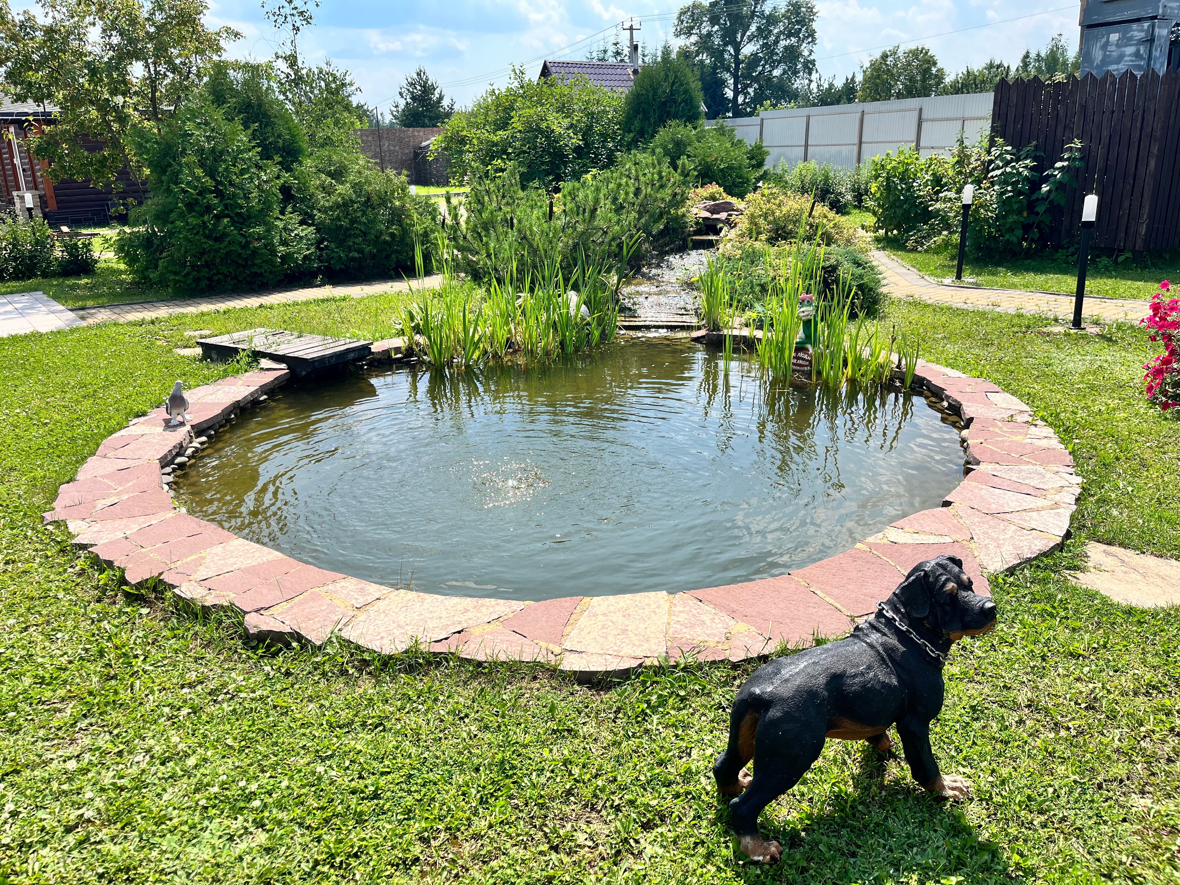 Фото Акварель